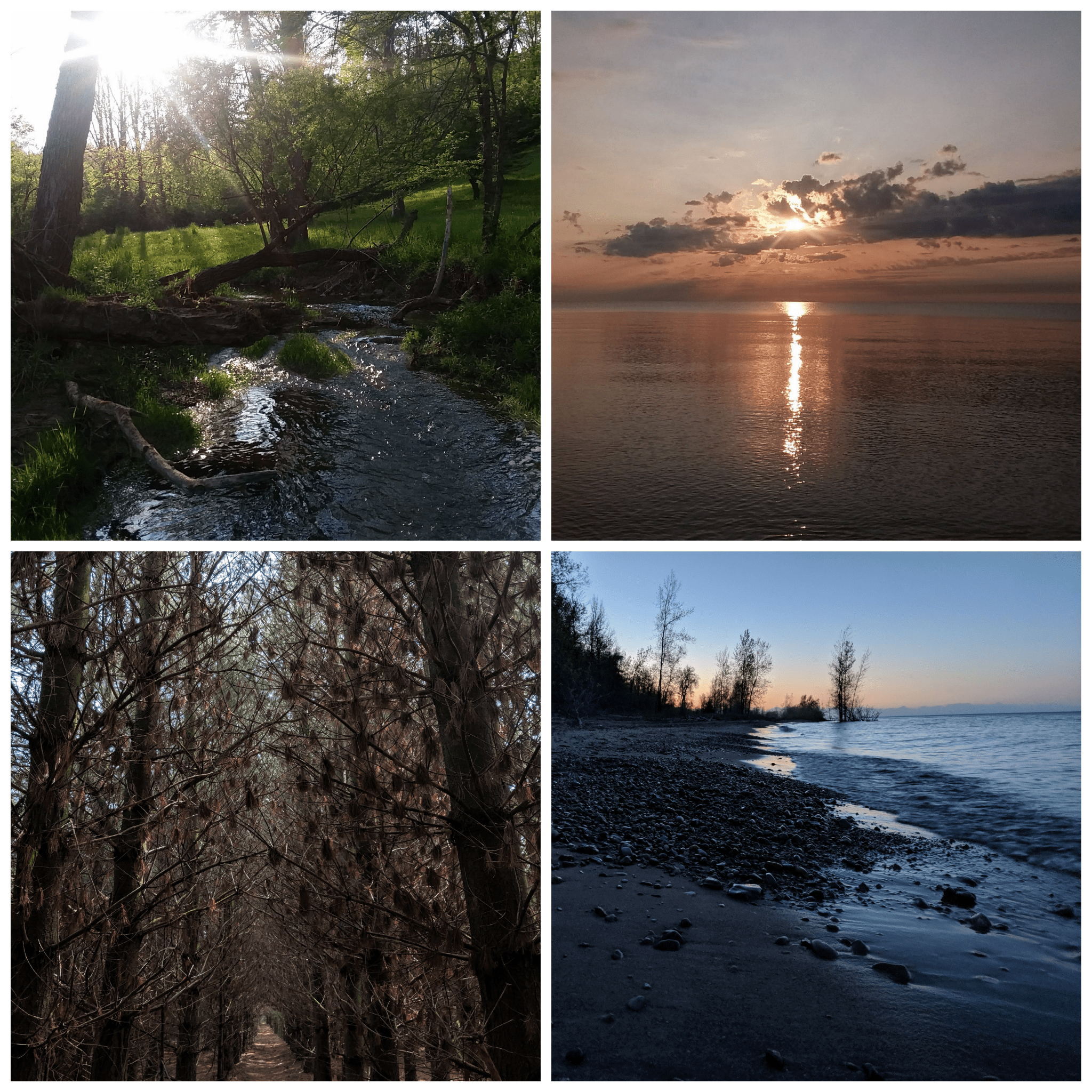 Some of my favorite places around my family's property up north, all