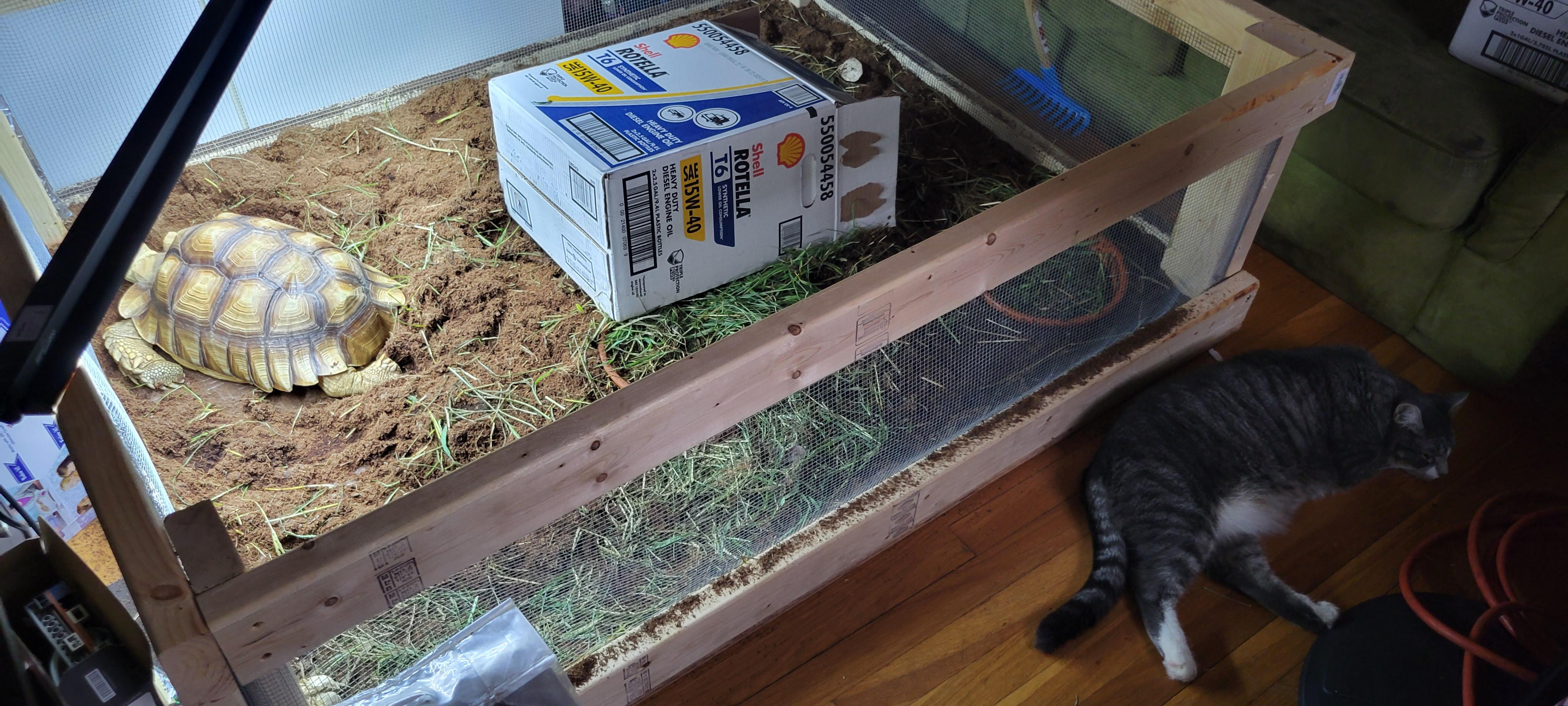 The only box in the house the cat won't go in. r/thisismylifenow