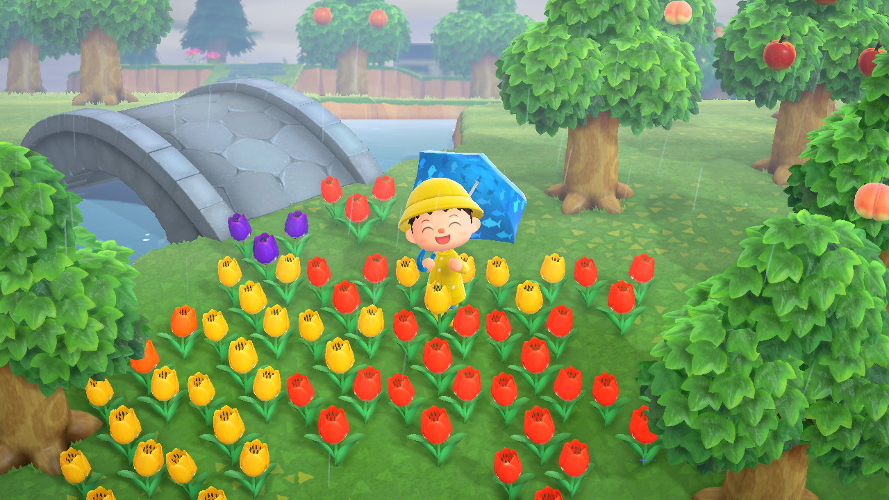 Finally can skip watering again! Thanks, Ma Nature r/ACNH_RealTime