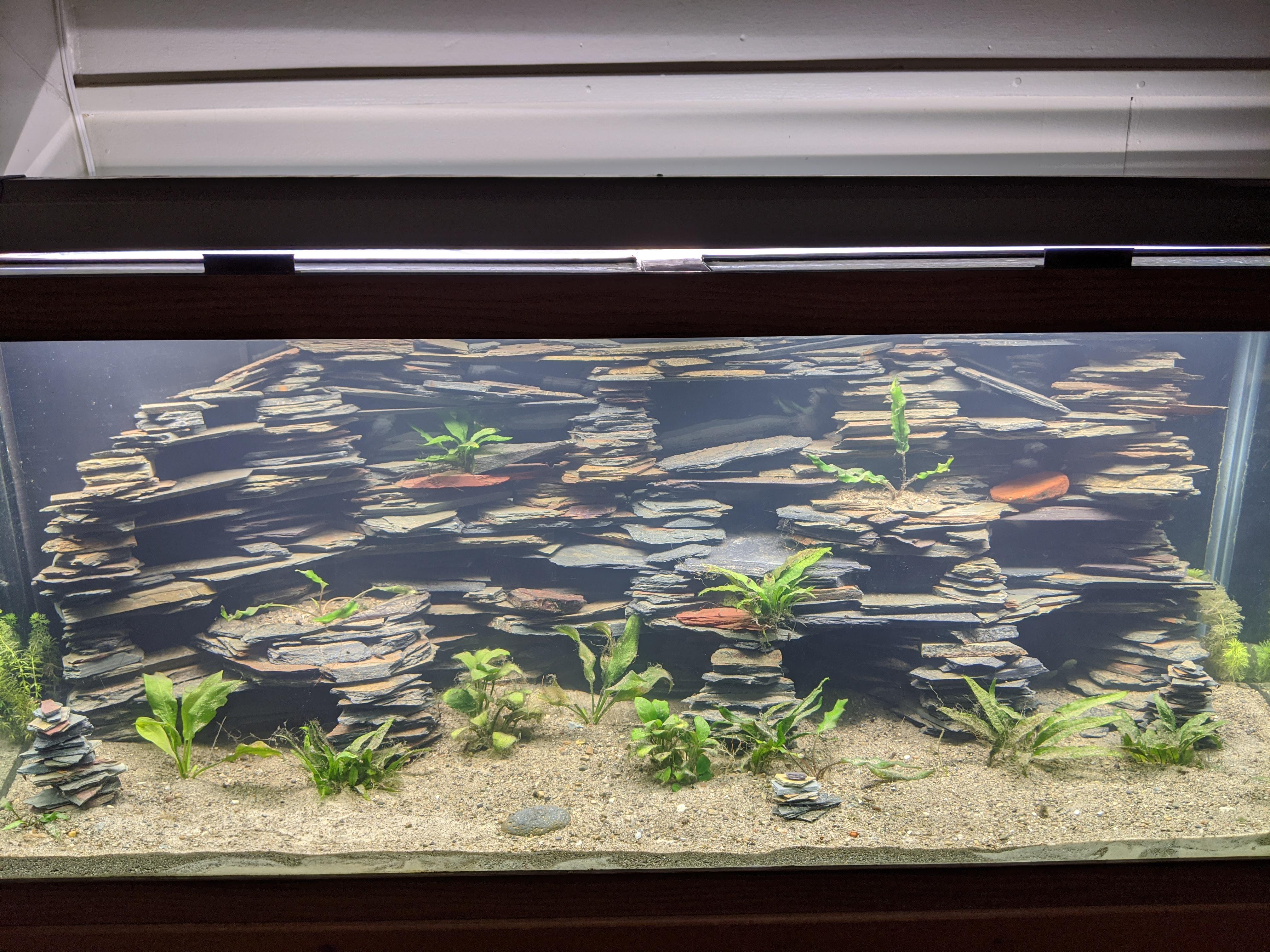 I keep seeing nice looking faux rock backgrounds made of foam. I