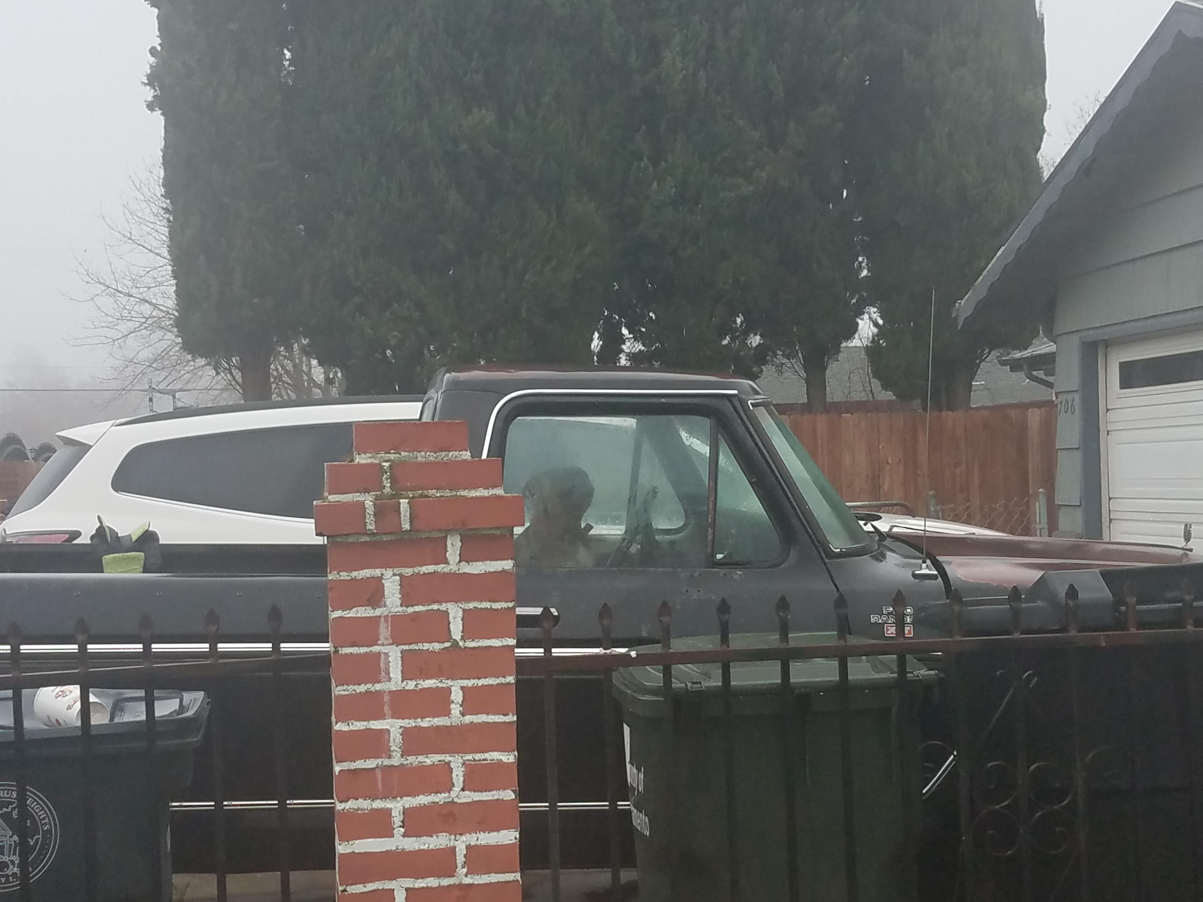 My neighbors' improvised dog kennel r/trashy