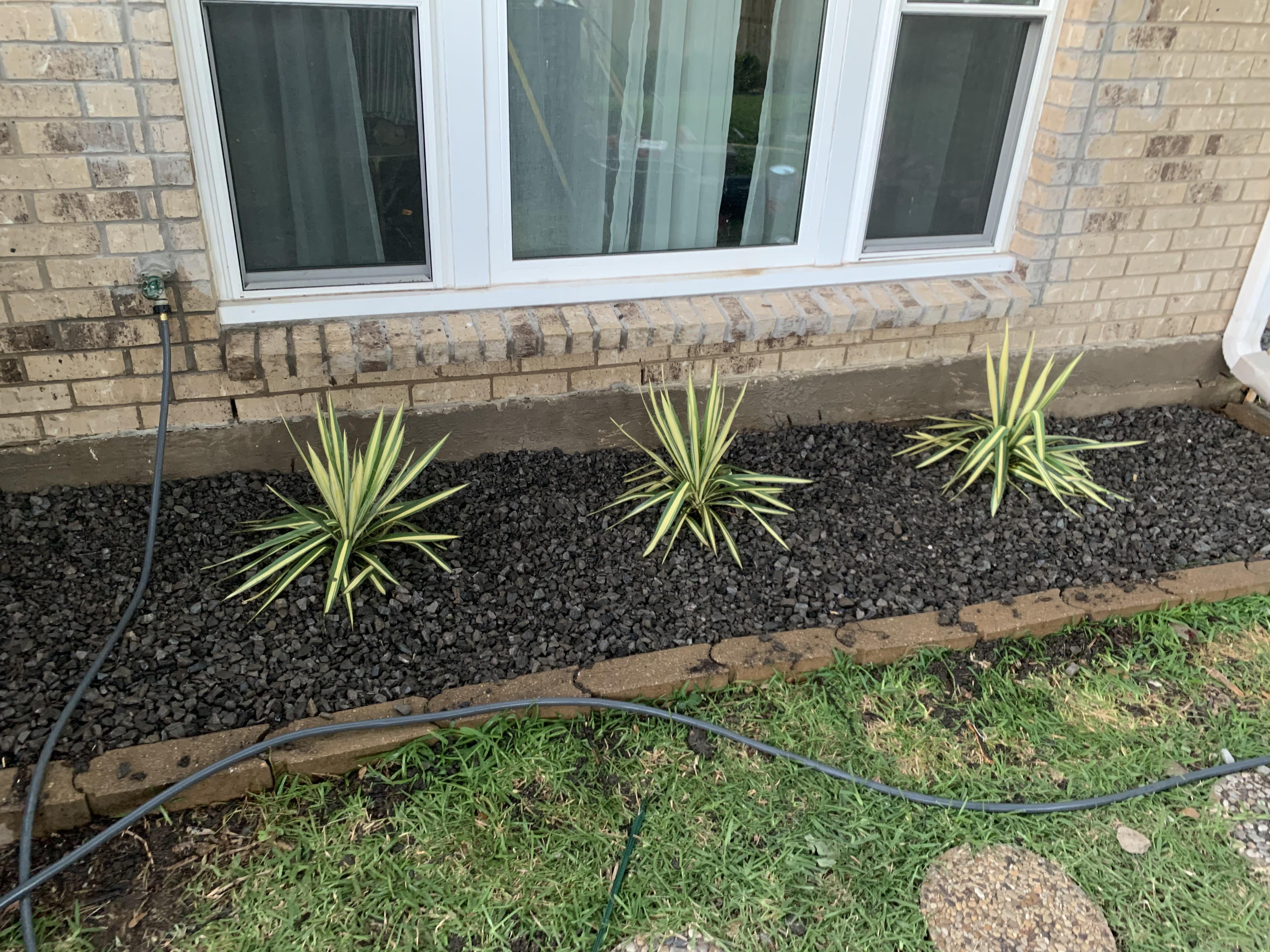 Yucca’s with Large Black Tejas Gravel landscaping