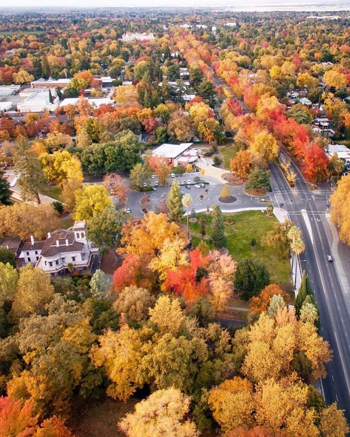 Fall in my hometown. Chico, California. r/pics