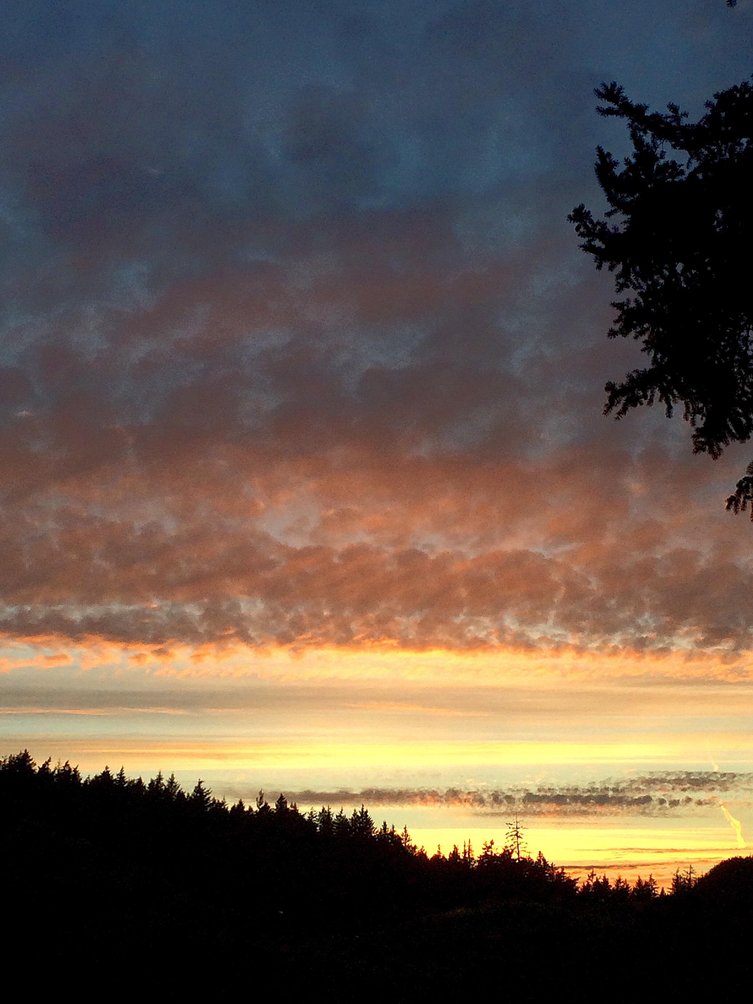 Beautiful Sunset over the hill in Colwood, BC, Canada [OC] [2448x3264