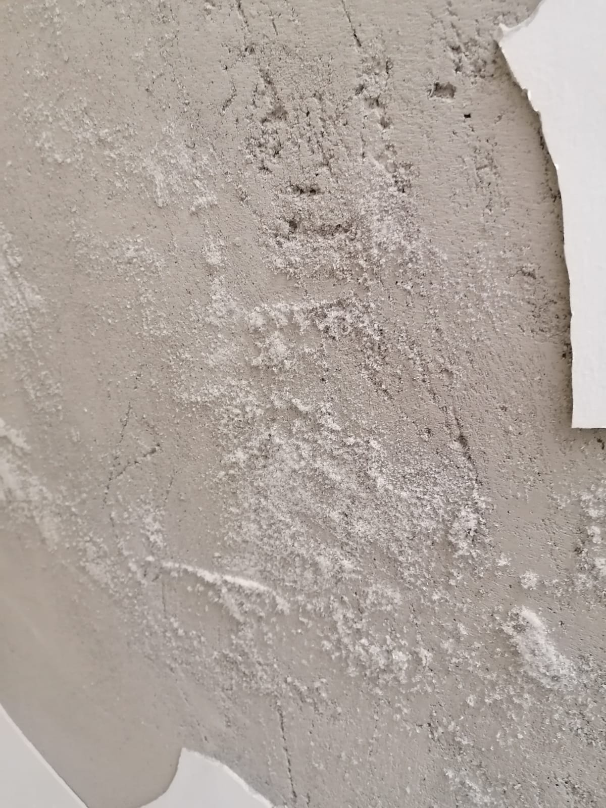 Any ideas? Plaster started to come away from the wall. Pealed some of