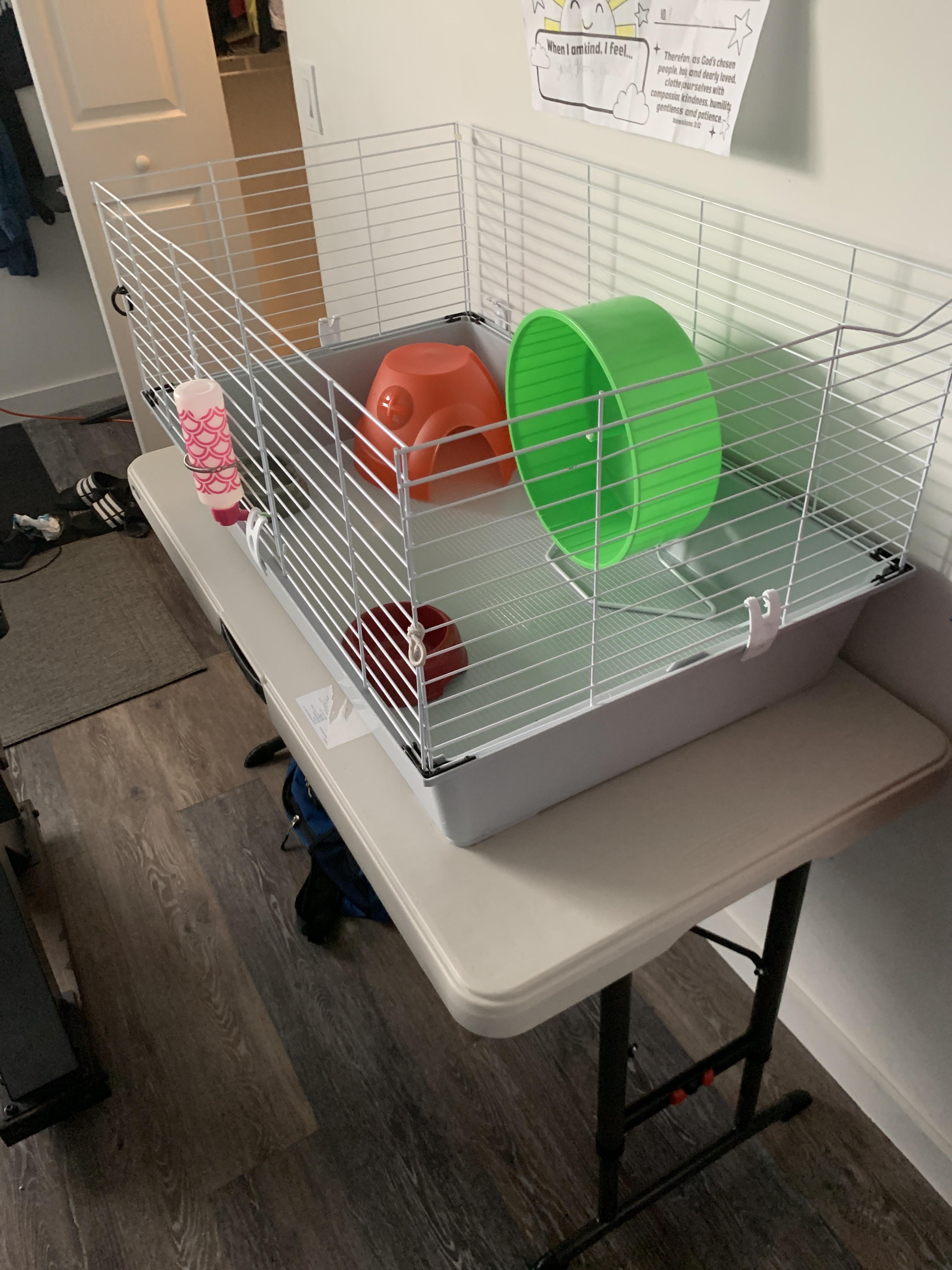 haven’t added the bedding or the heat lamp yet, i’m picking the hedgie