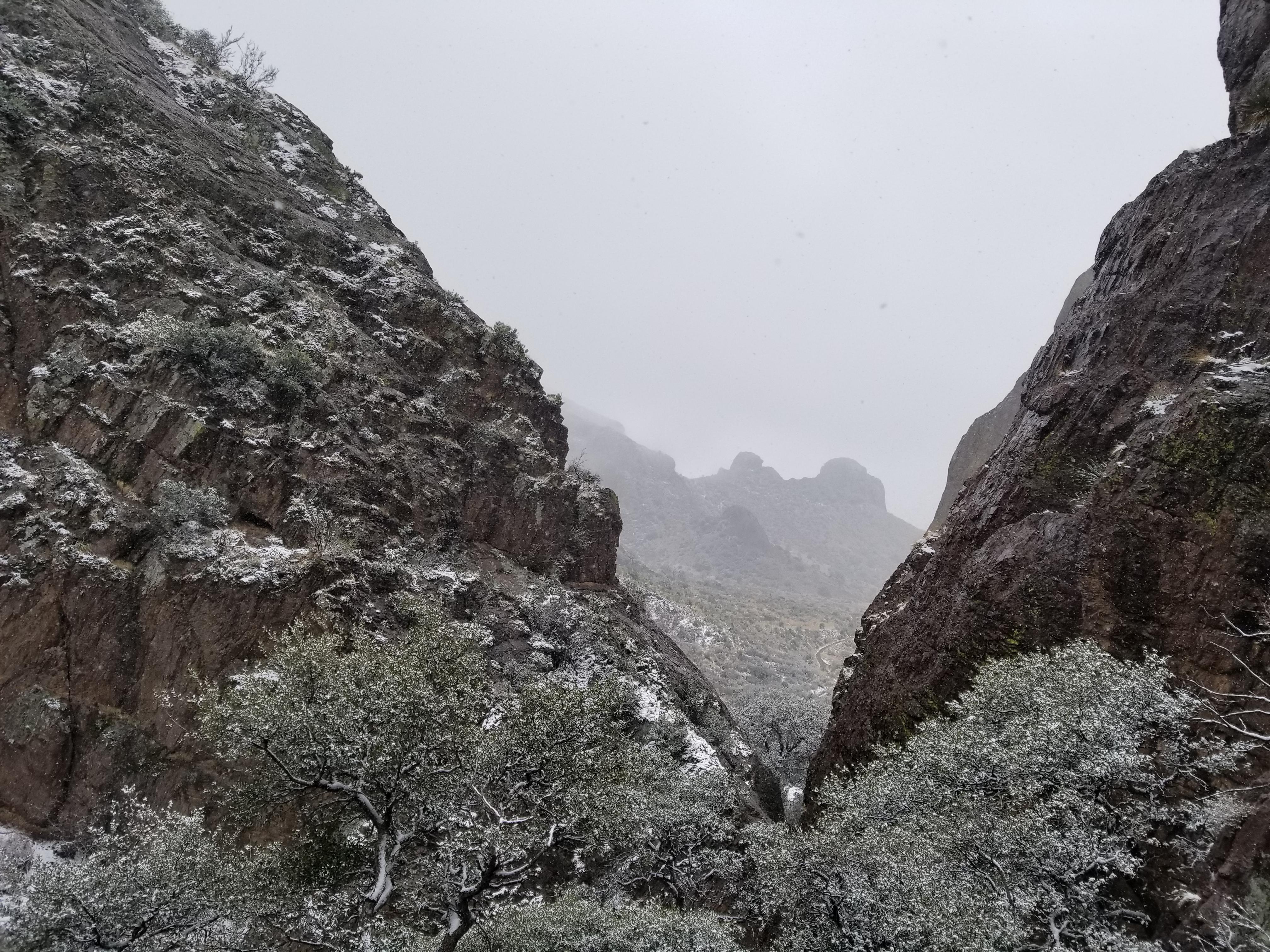 Snow in Soledad Canyon, Las Cruces, NM r/CampingandHiking