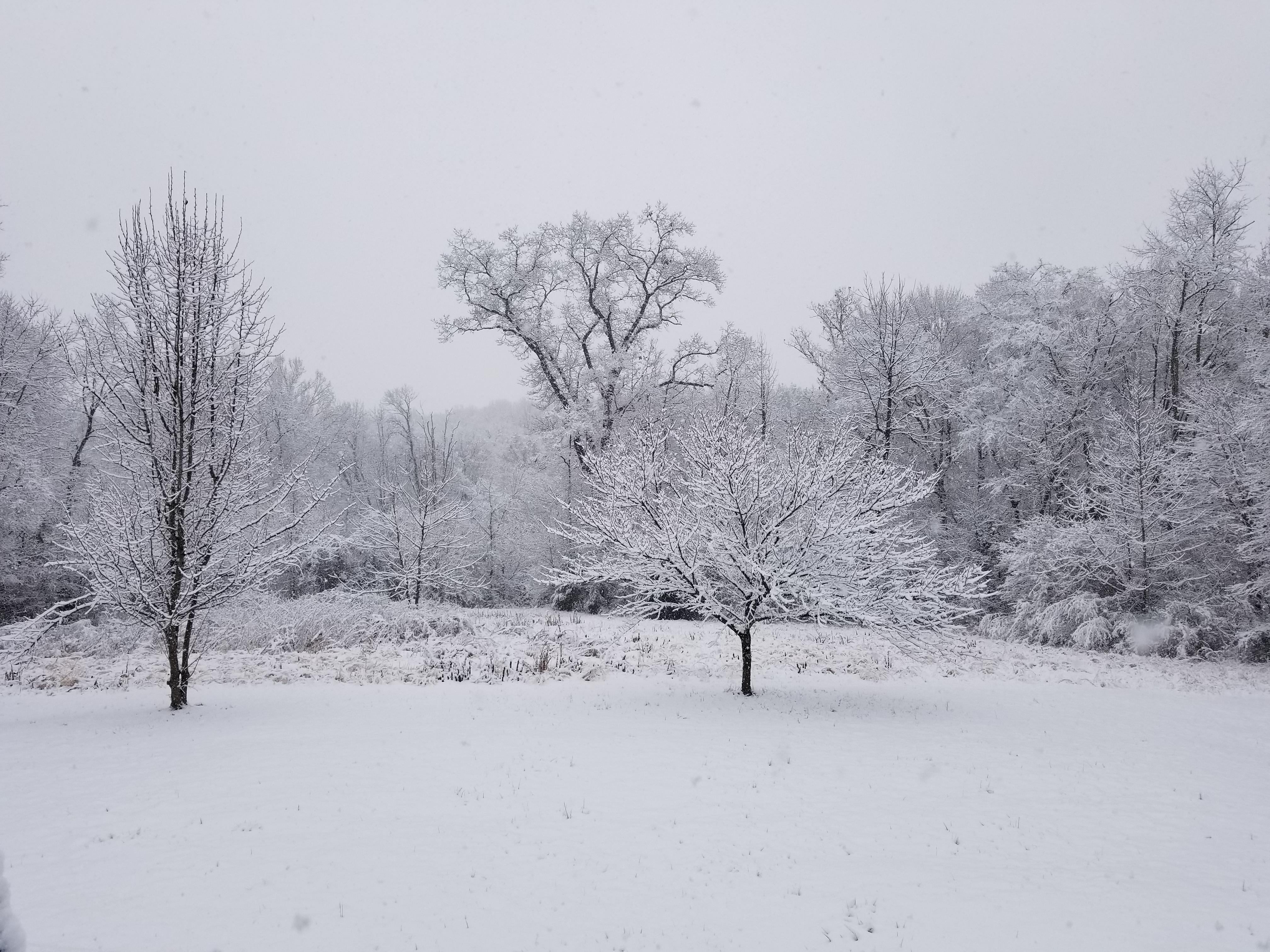 It just doesn't snow like this often enough around here in my opinion