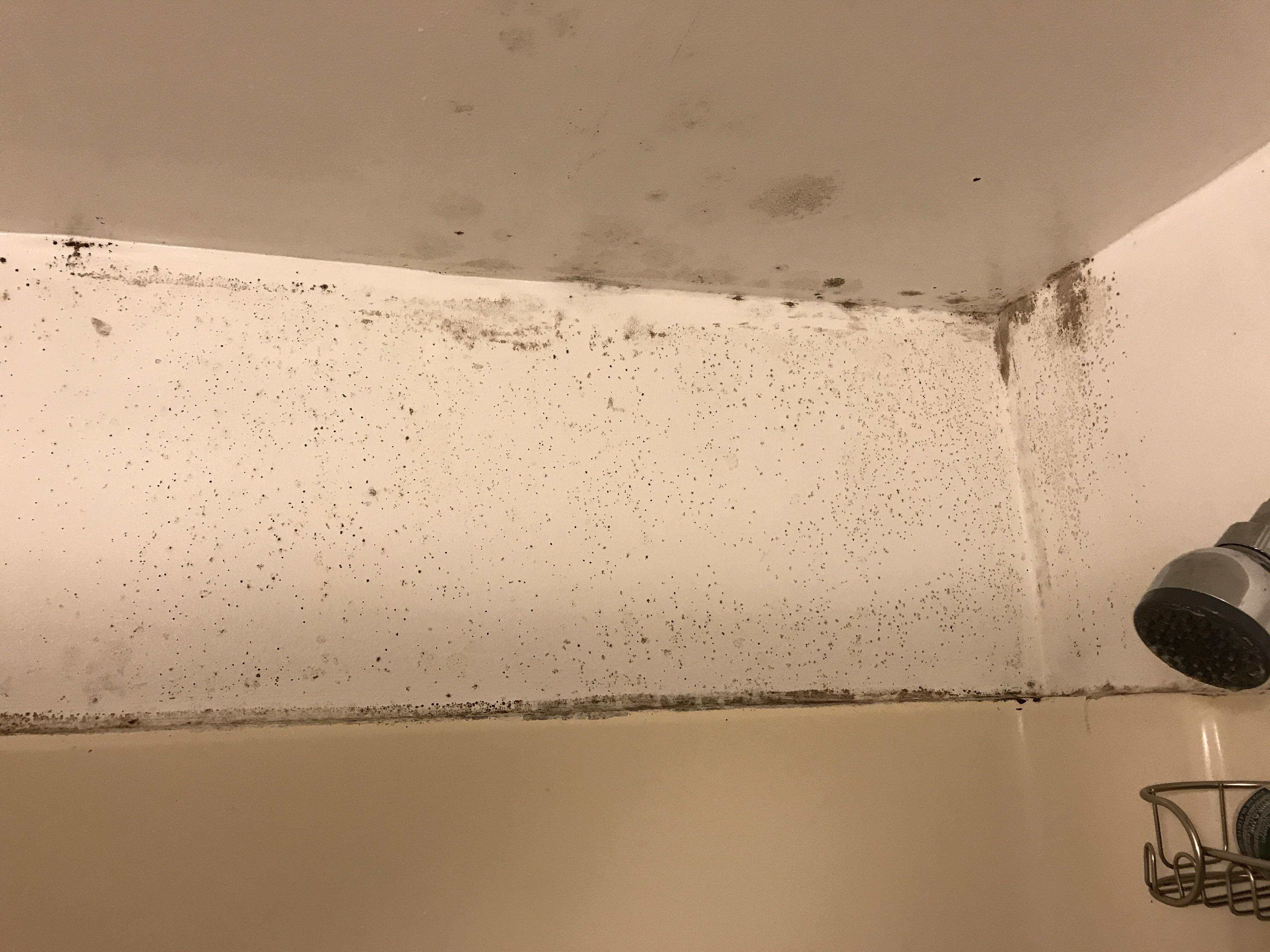 Need help getting mold/mildew from bathroom r/housekeeping