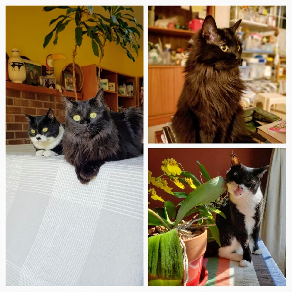 After some hardship and a day of flying, my wife and I successfully