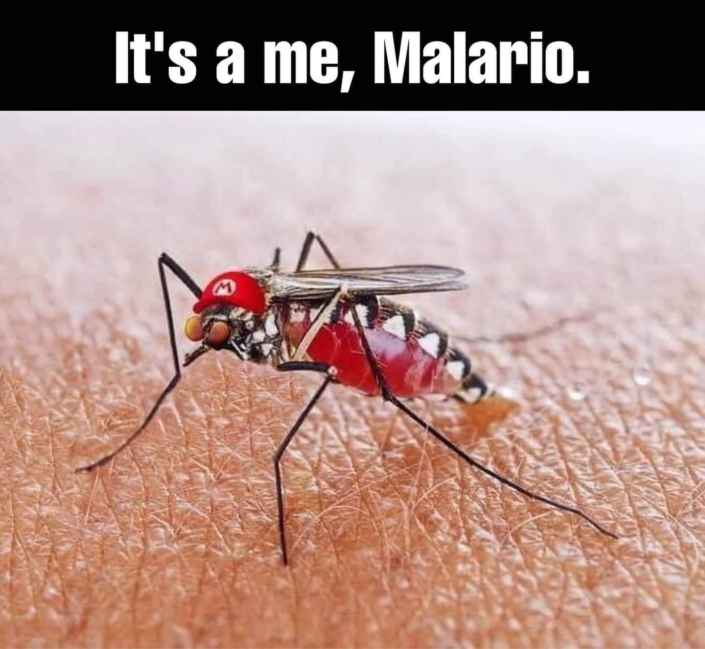 Deadliest pun in the world r/puns