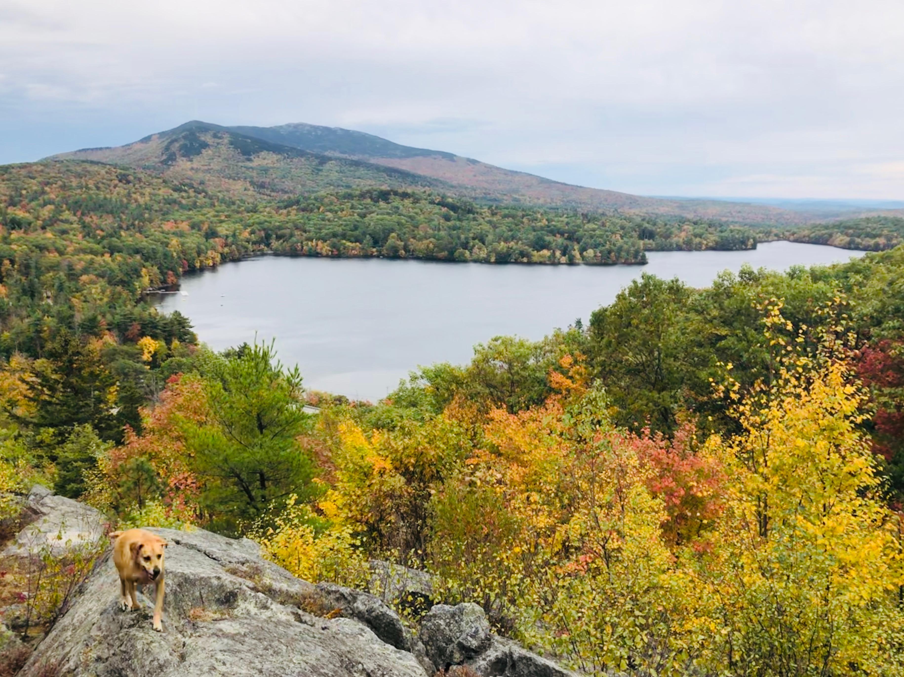 Dublin Lake Today r/newhampshire