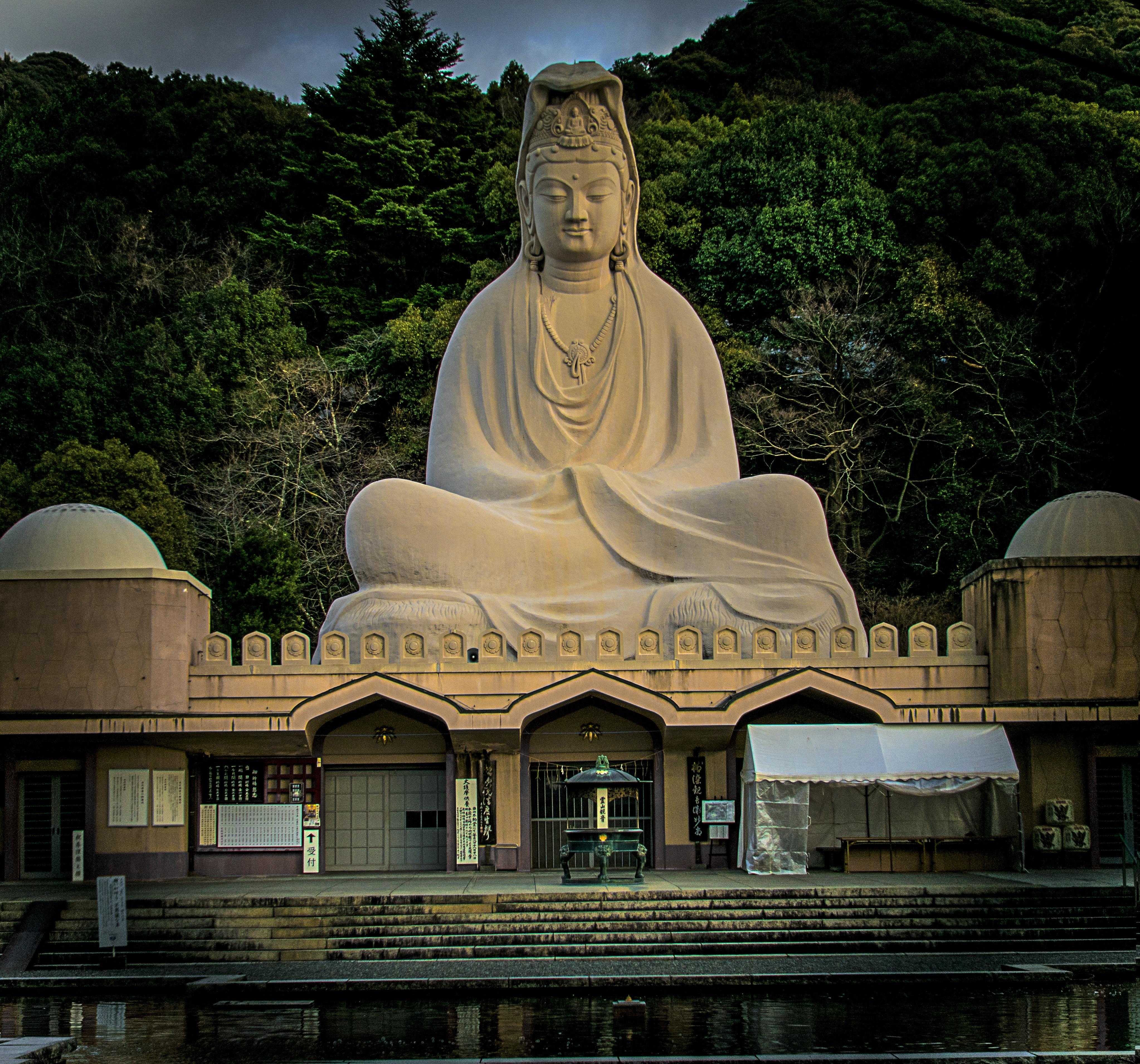 The great Buddha in Kyoto r/japanpics