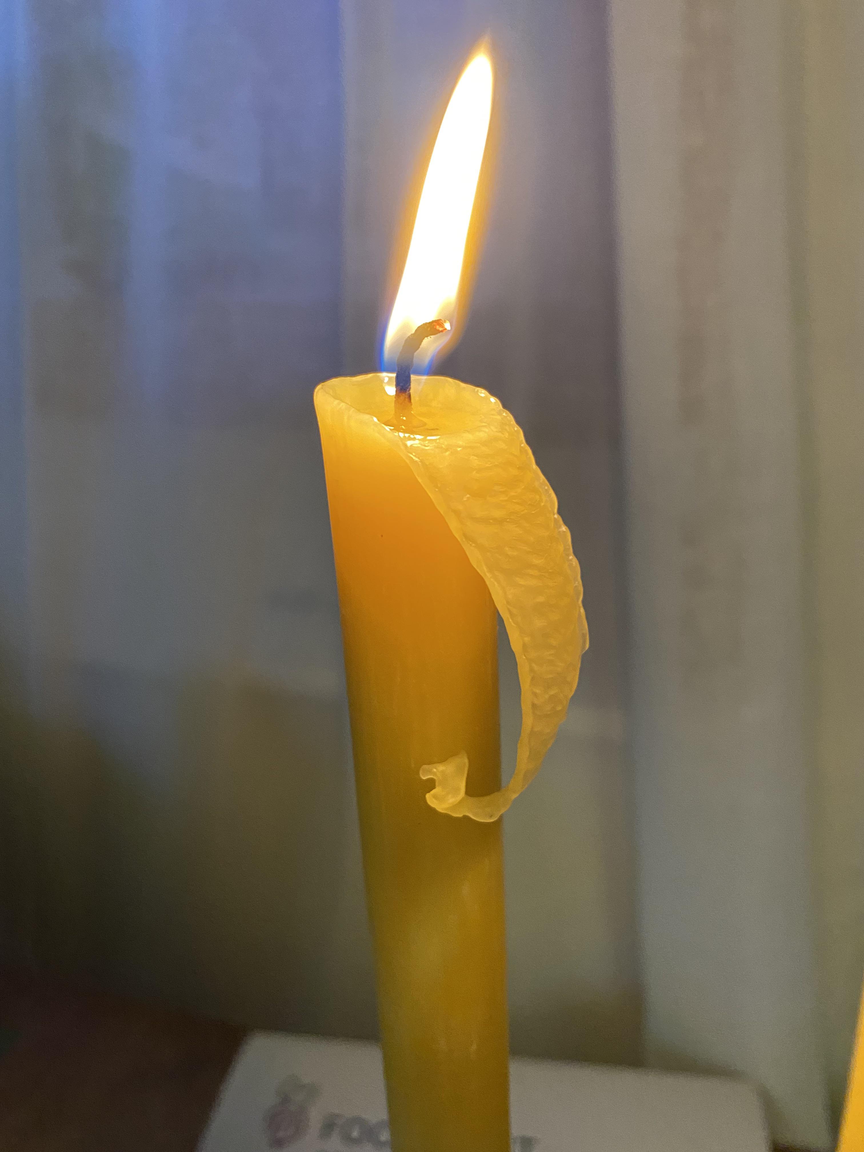 As it melted, my beeswax candle formed this little leaf. r