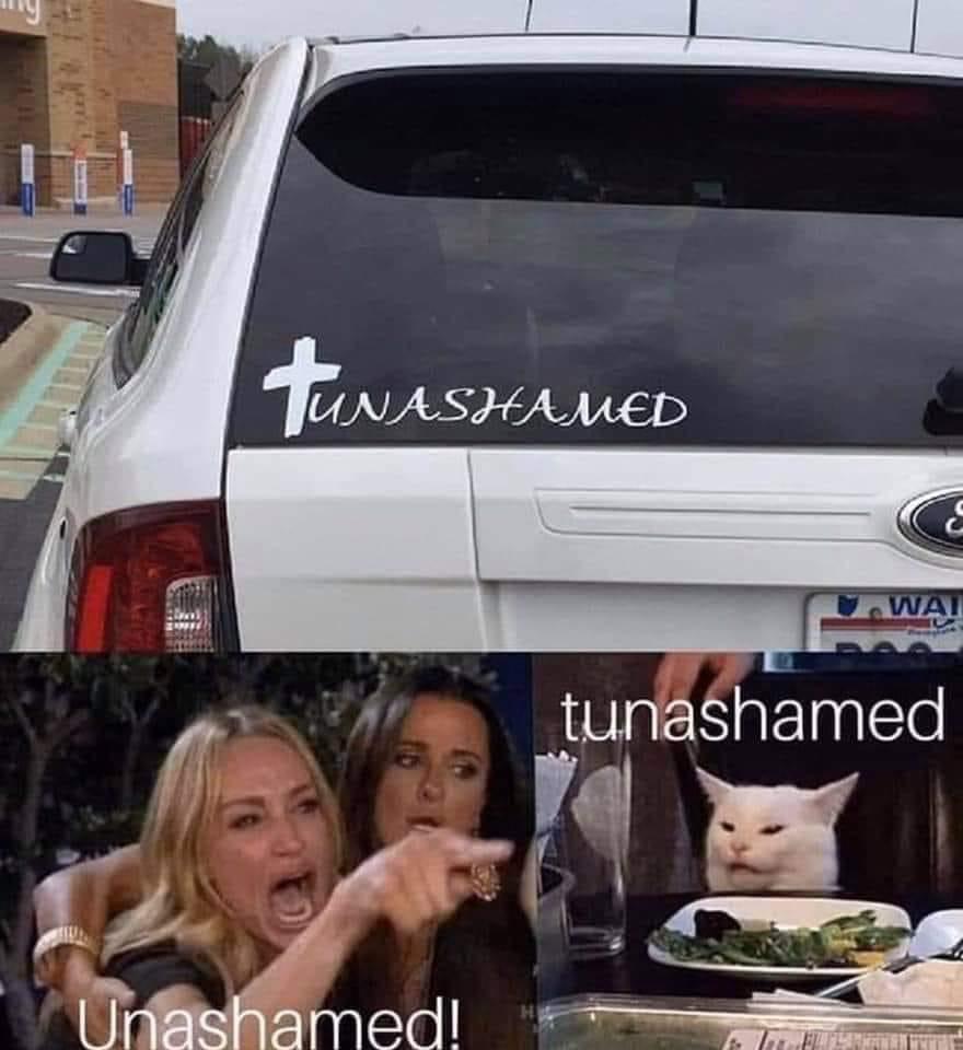 You know tunashaming is real when you’ve eaten tuna in public r/memes