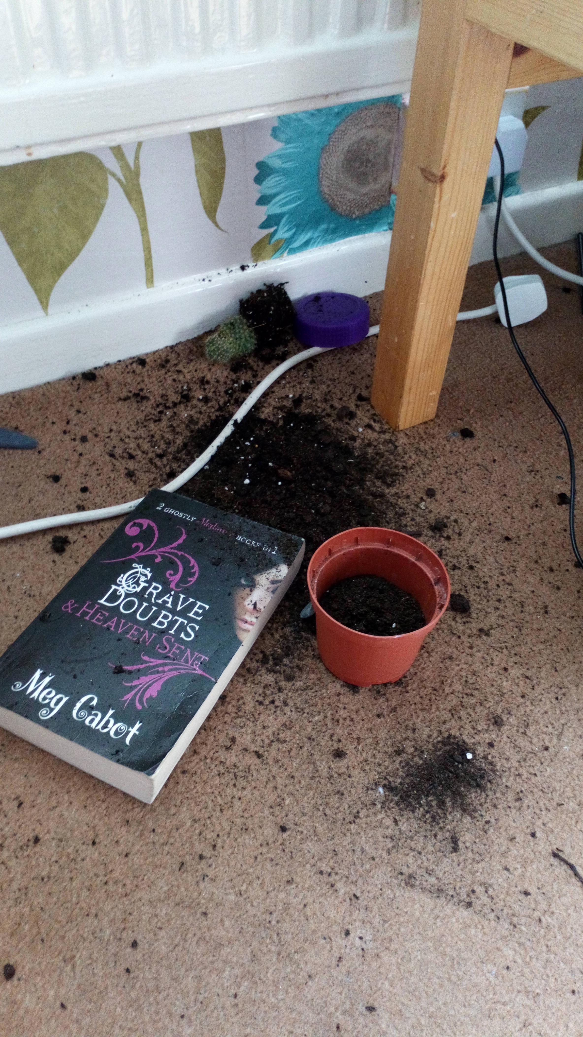 *loud screaming* r/plants