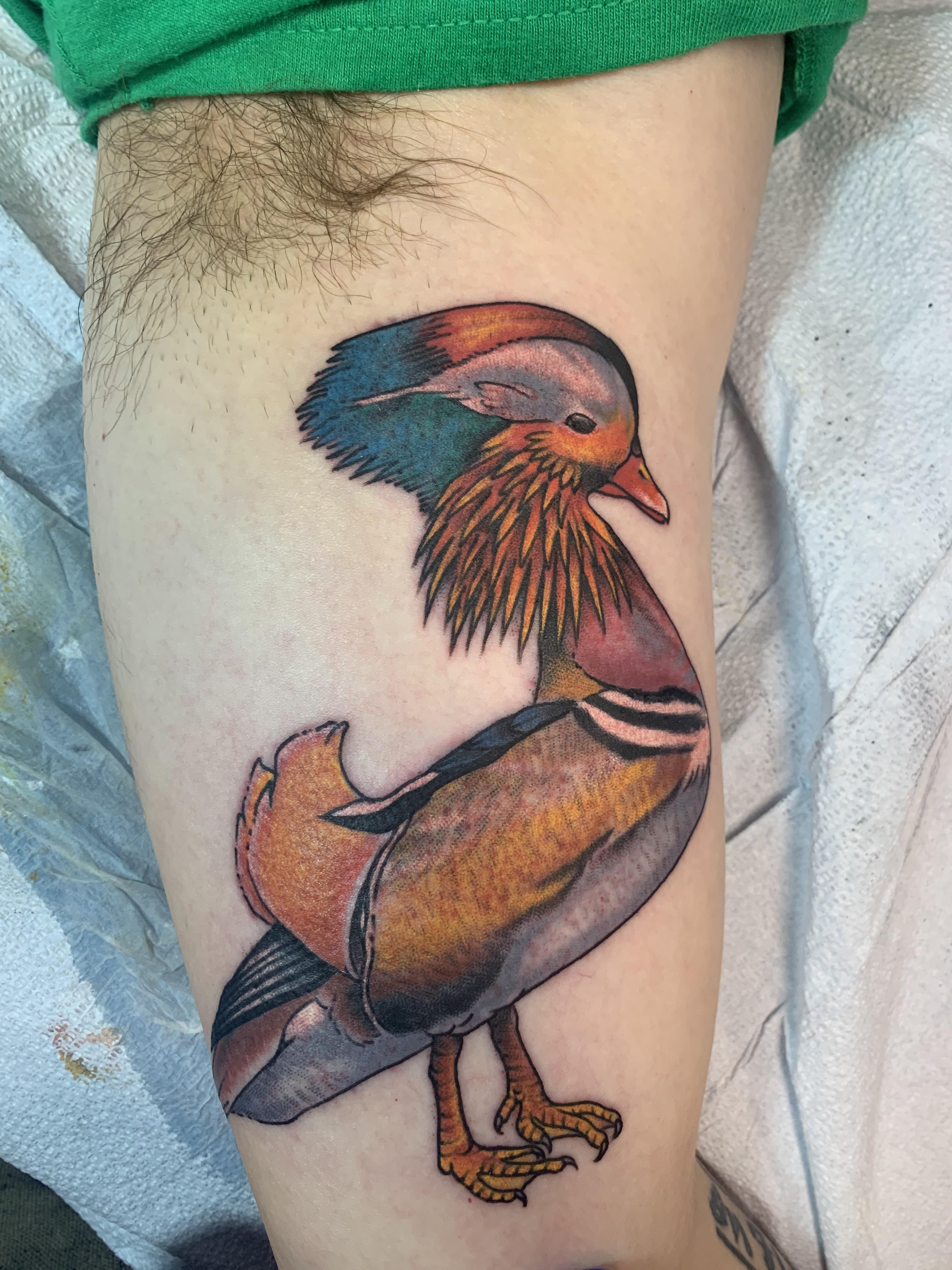 Mandarin Duck, by Matt, at Valhalla Tattoos in Southern Pines, NC, to
