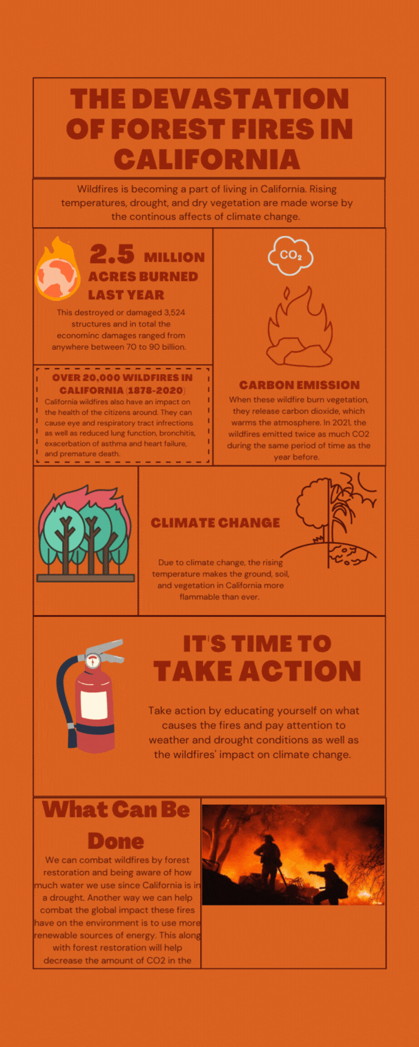 The Devastation of Forest Fires in California r/sustainability