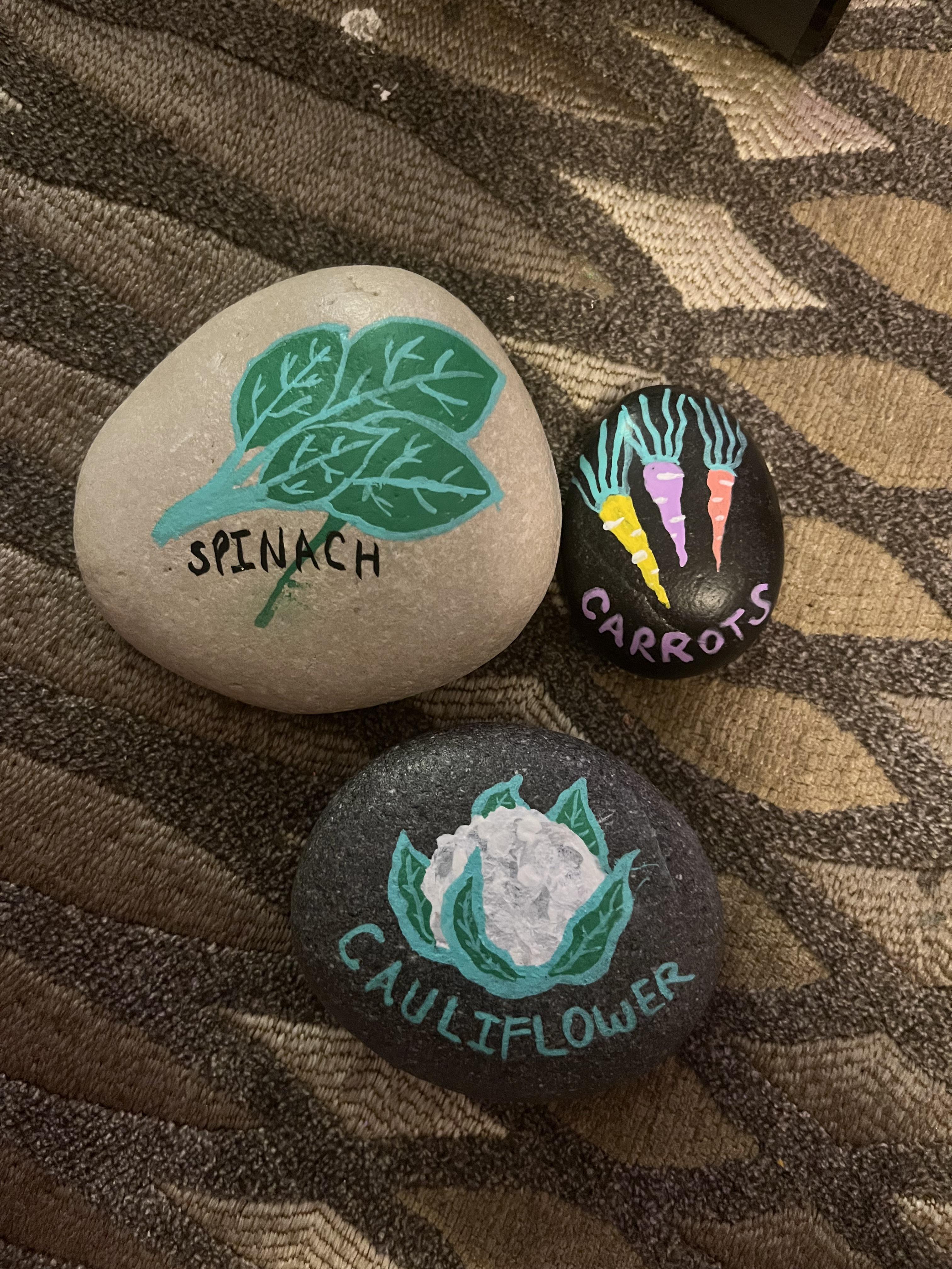 I posted these to the veggi garden subreddit but thought I’d put them here too because I saw