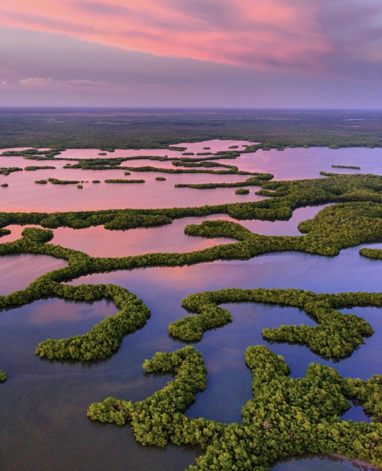 🔥 Everglades National Park in Florida 🔥 r/NatureIsFuckingLit