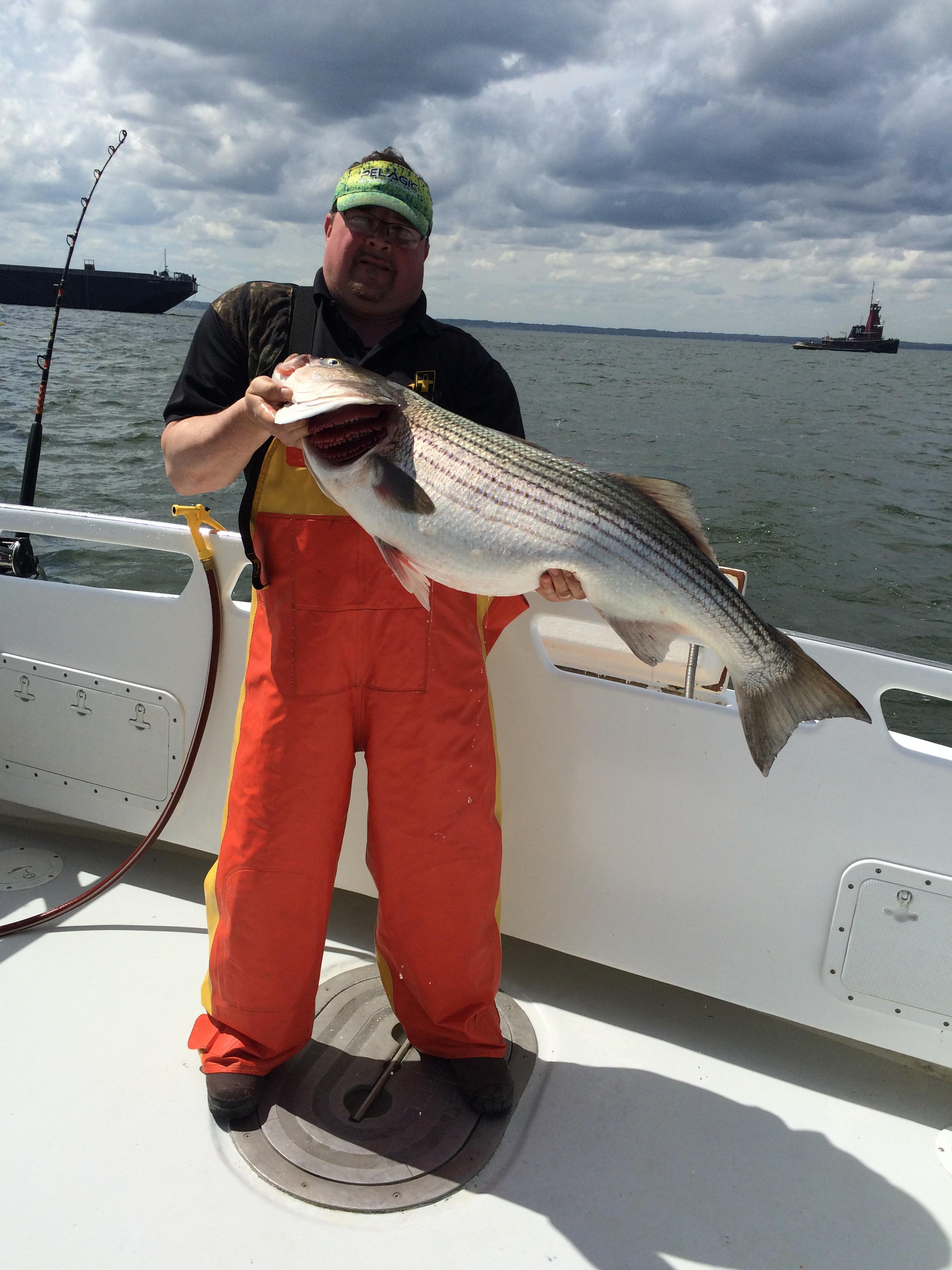 The queens & kings of line siders are here!!! r/Fishing