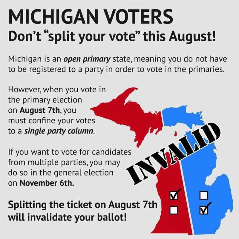 DO NOT split your vote today! Vote Democrat OR Republican r/Michigan