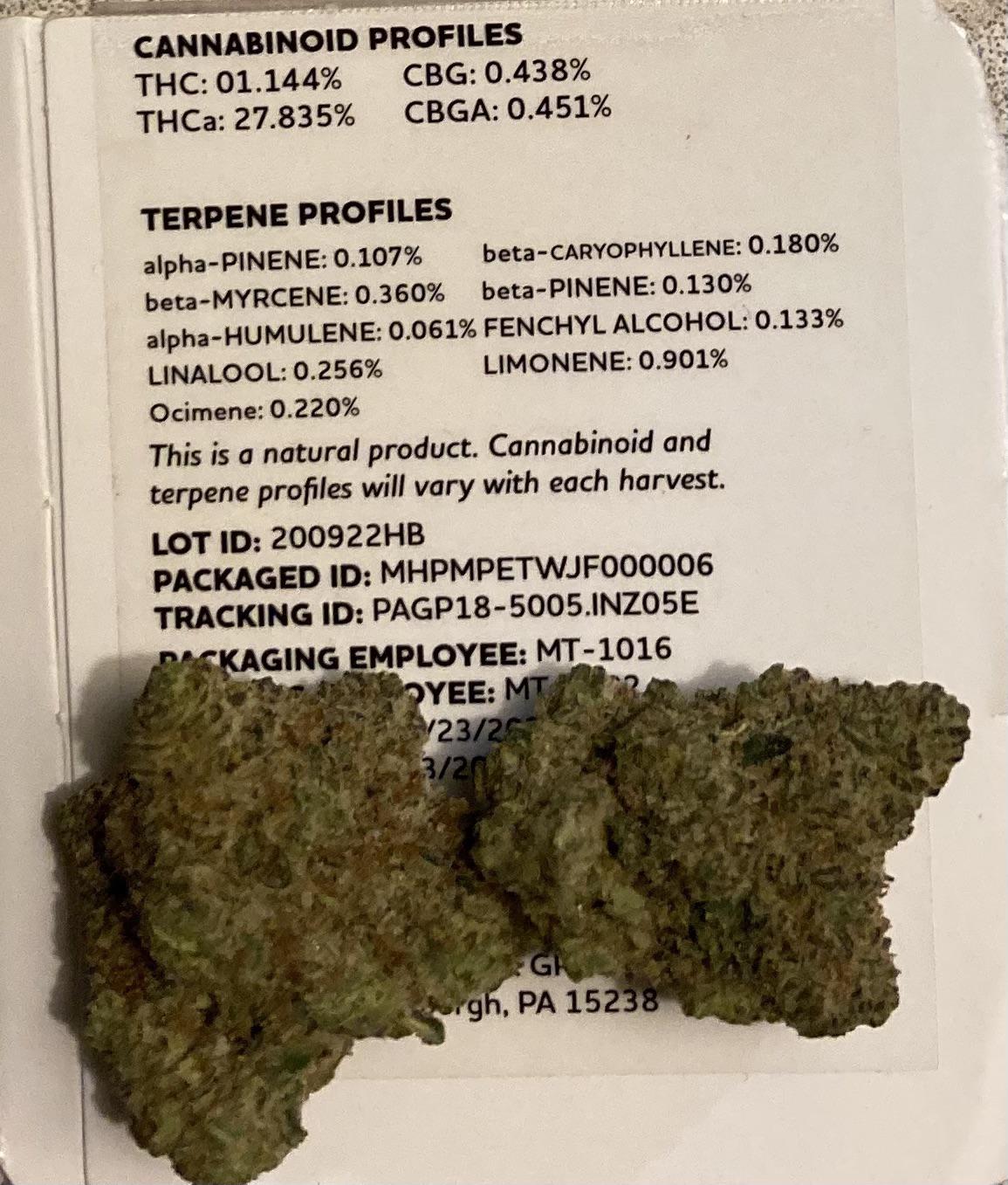 Jet Fuel Gelato Maitri at Christine King blog