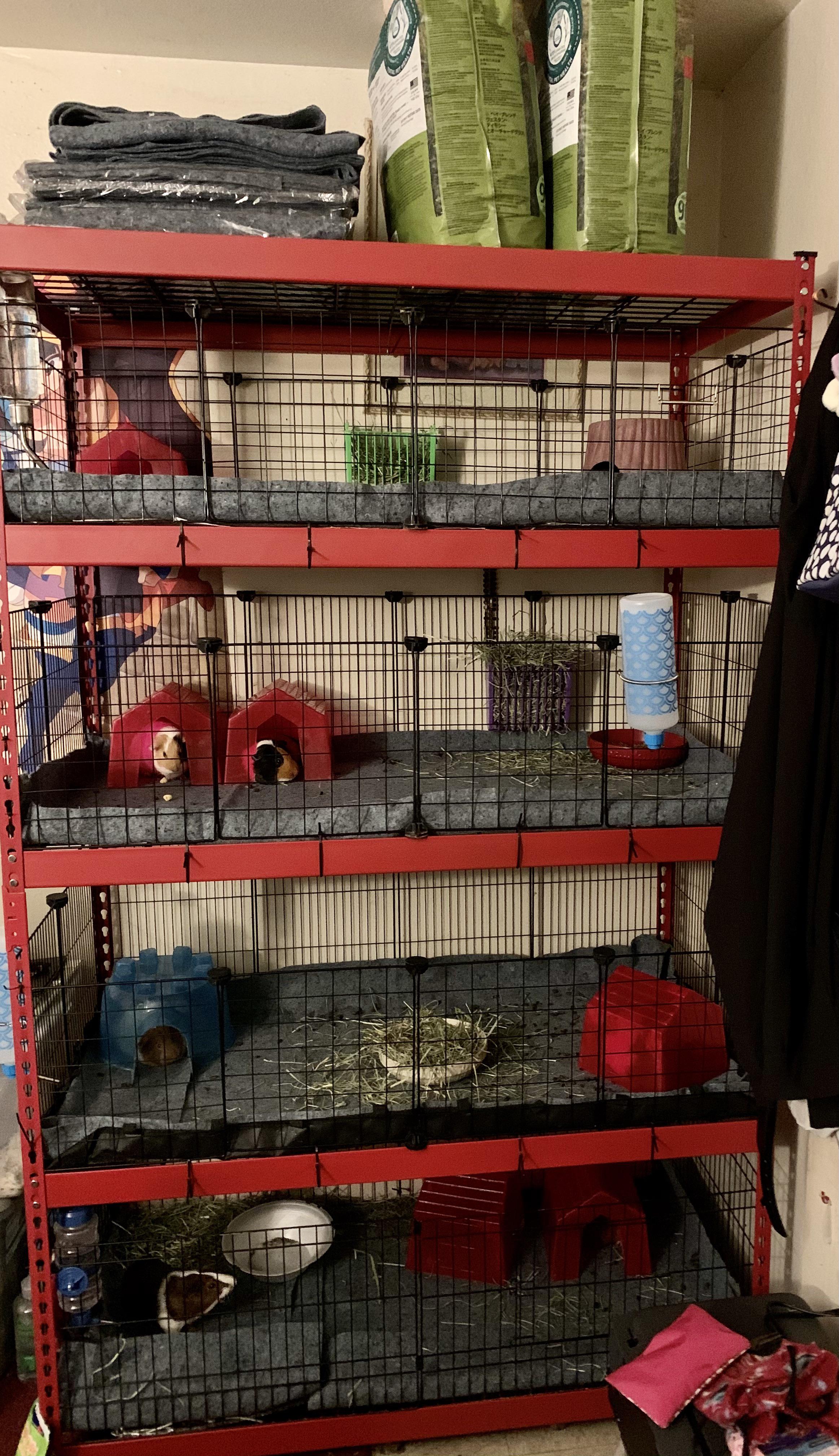 Guinea Pig Condos! We are adding the finishing touches within the next