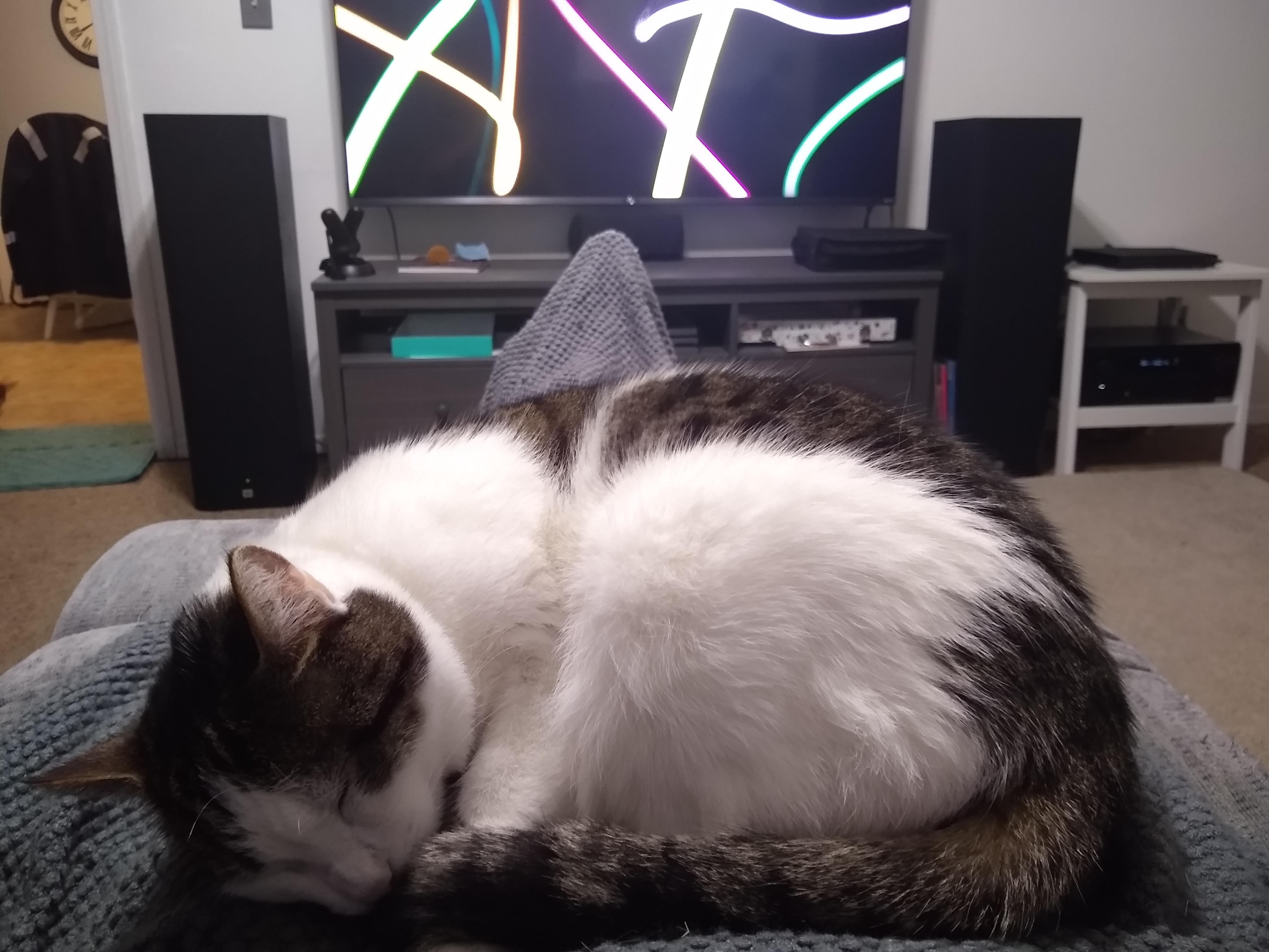 Gotta have some good soft surfaces to absorb the sound waves man r