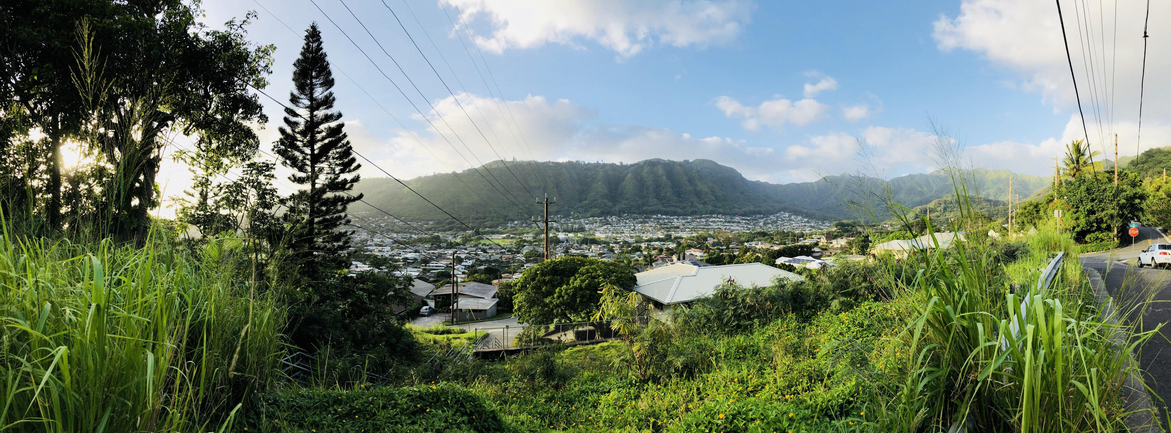 Beautiful Manoa, Hawaii r/pics