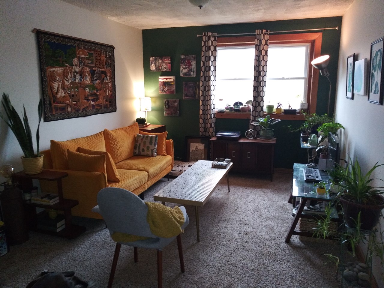 My small living room Danville, PA r/AmateurRoomPorn