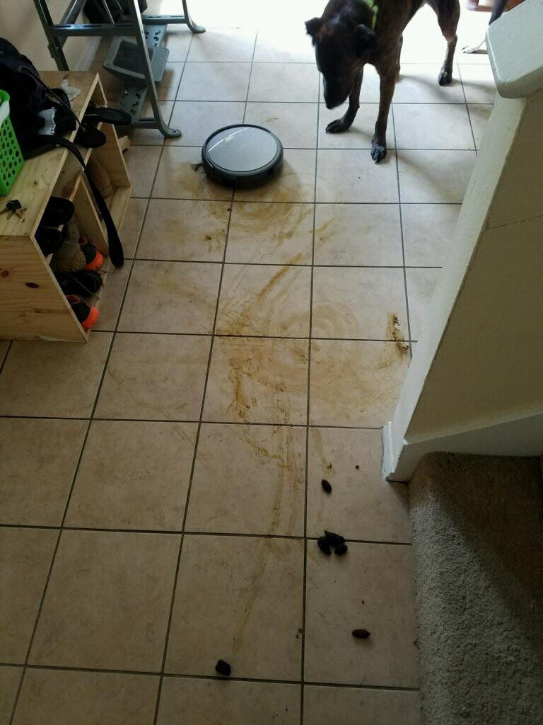 I see your poop bot and raise you guilty dog poop bot. r/Wellthatsucks