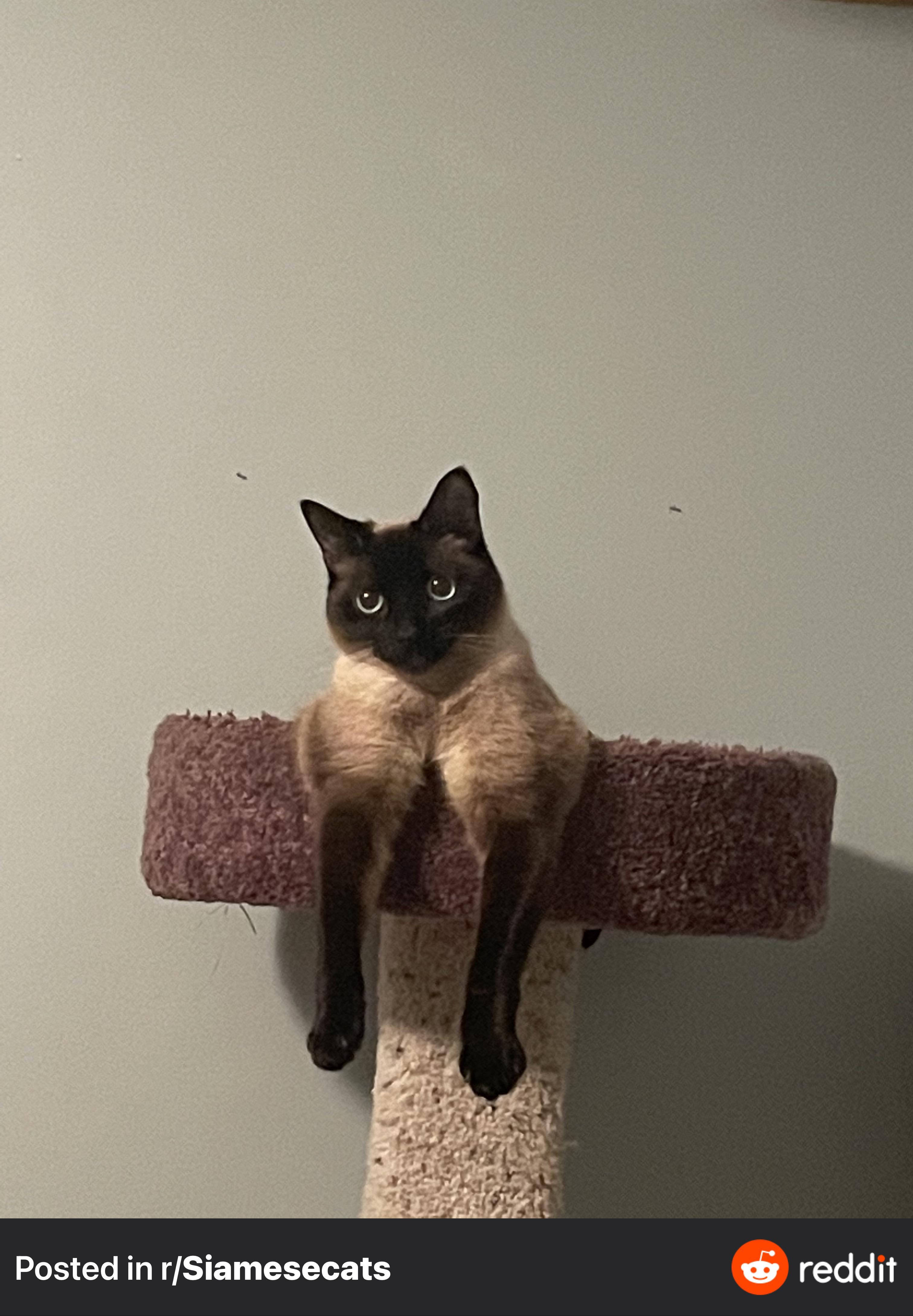 Do you guys like flats or drumsticks? r/drumstick