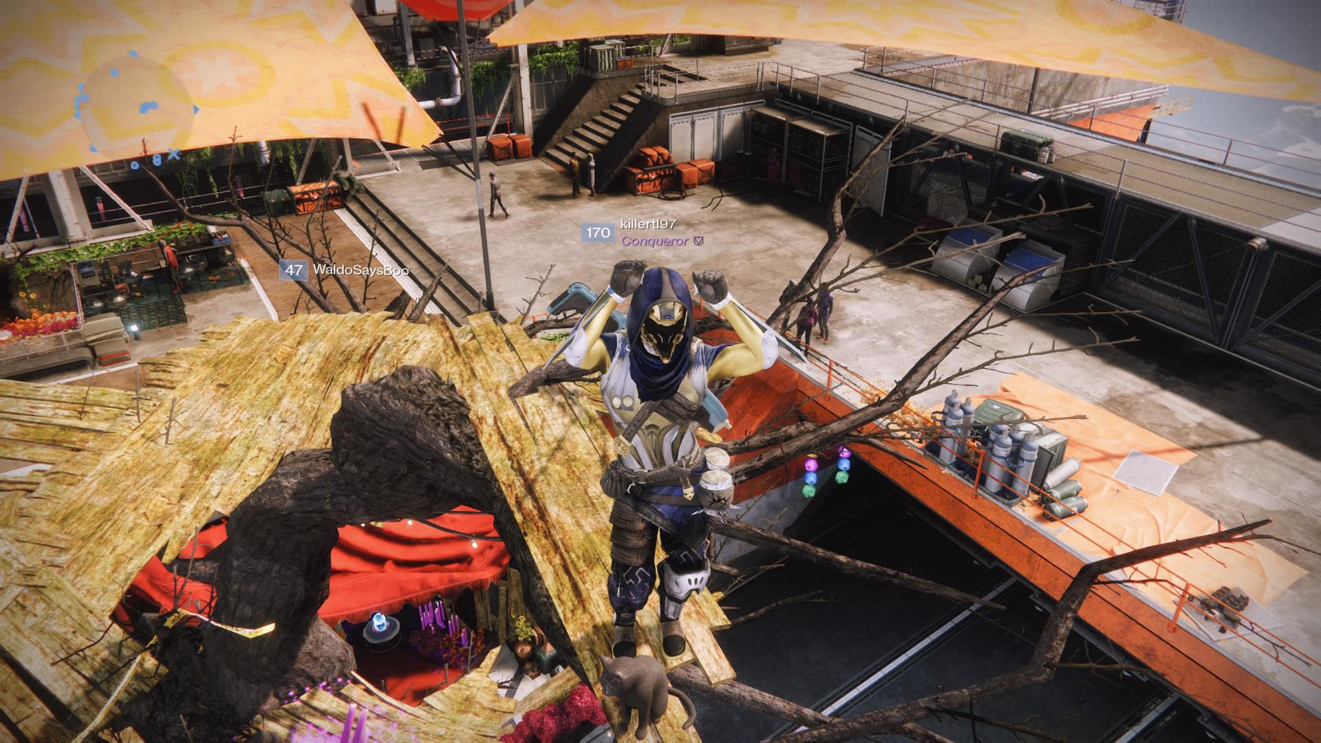Found a buddy to do the cat ear dance with. r/destiny2