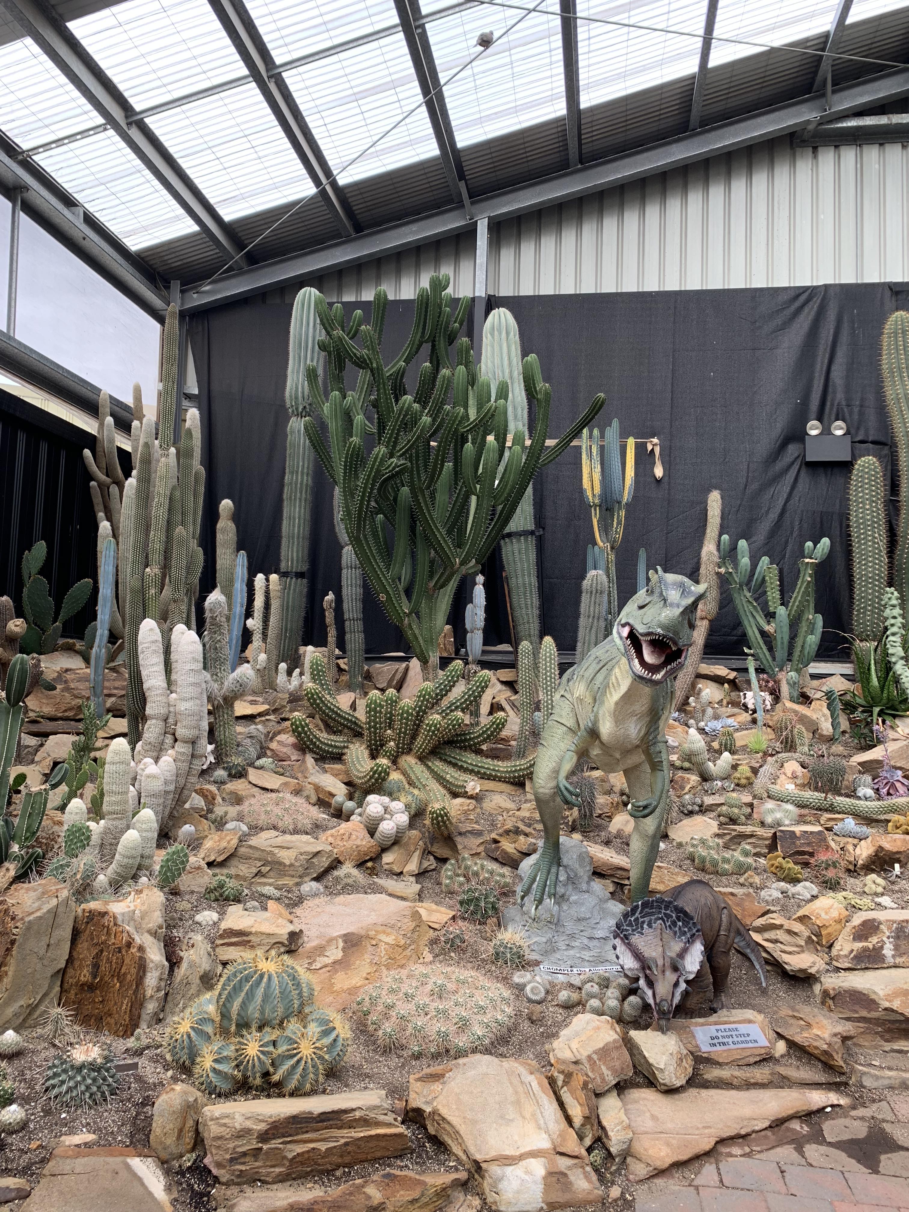 Amazing set up in a nursery in Melbourne. r/gardening