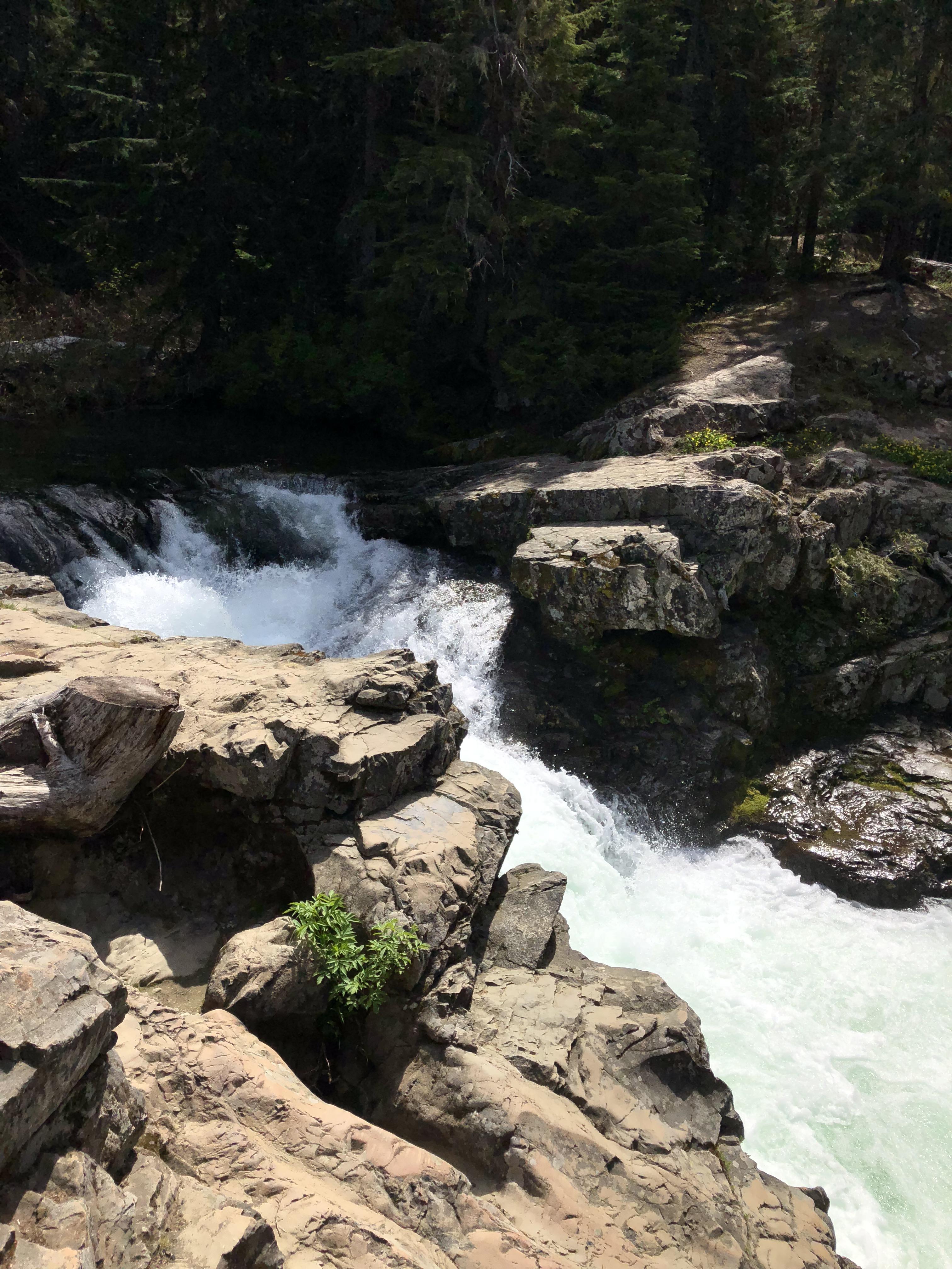 Box Canyon Creek, Washington. Near Little Kachess Lake r/camping