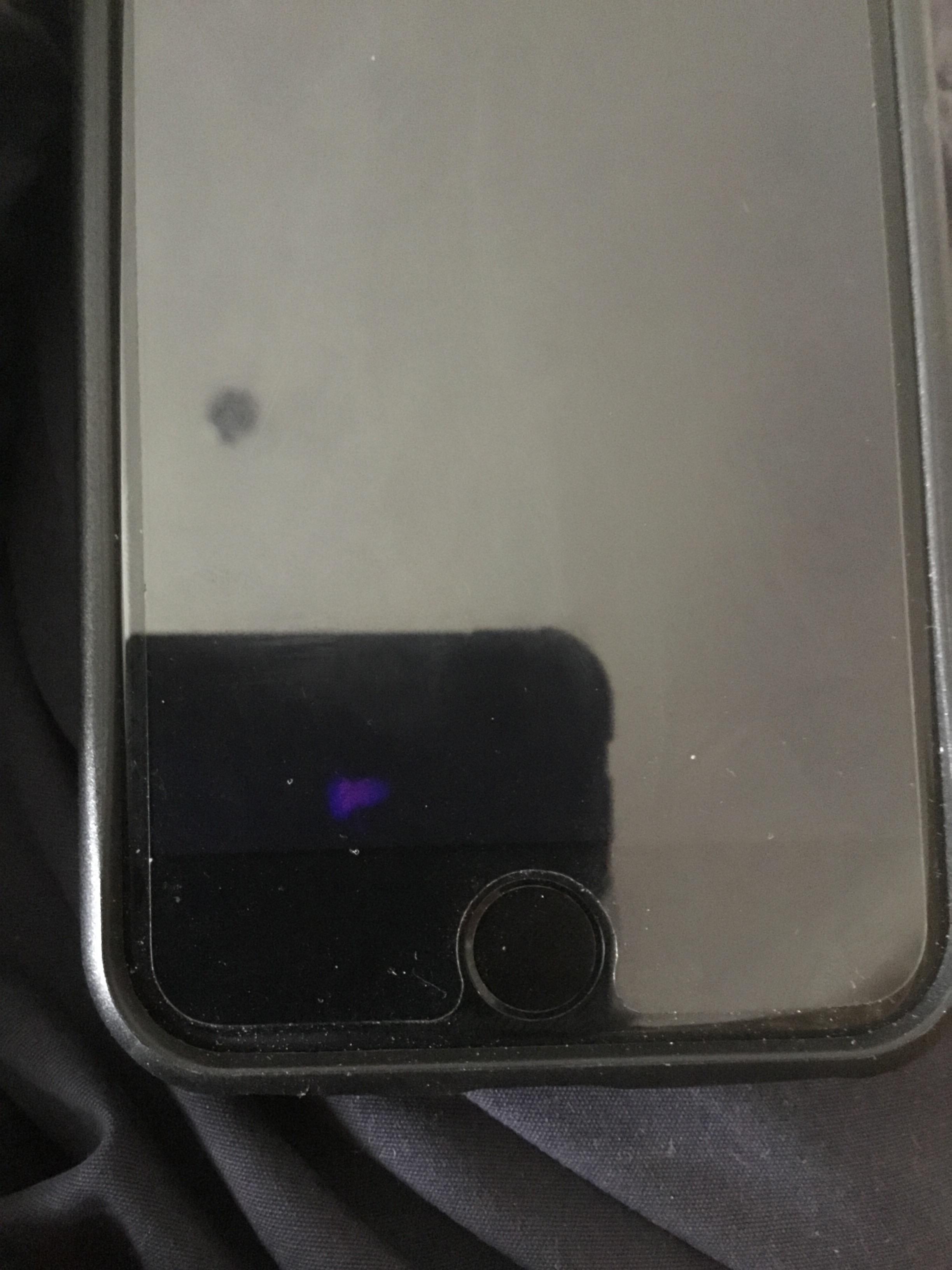 Used my phone in the shower yesterday, I believe this is water damage