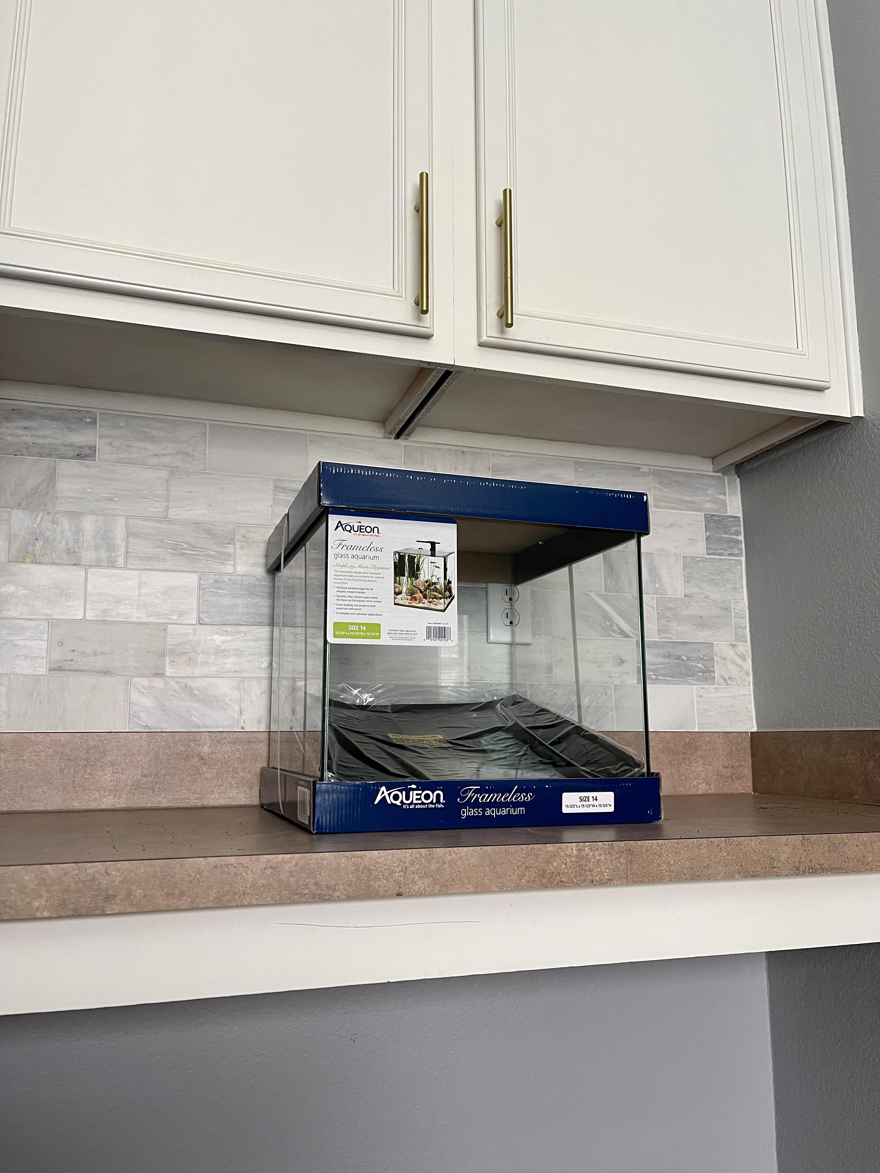 Unique stocking ideas for this 14 gallon? r/aquarium