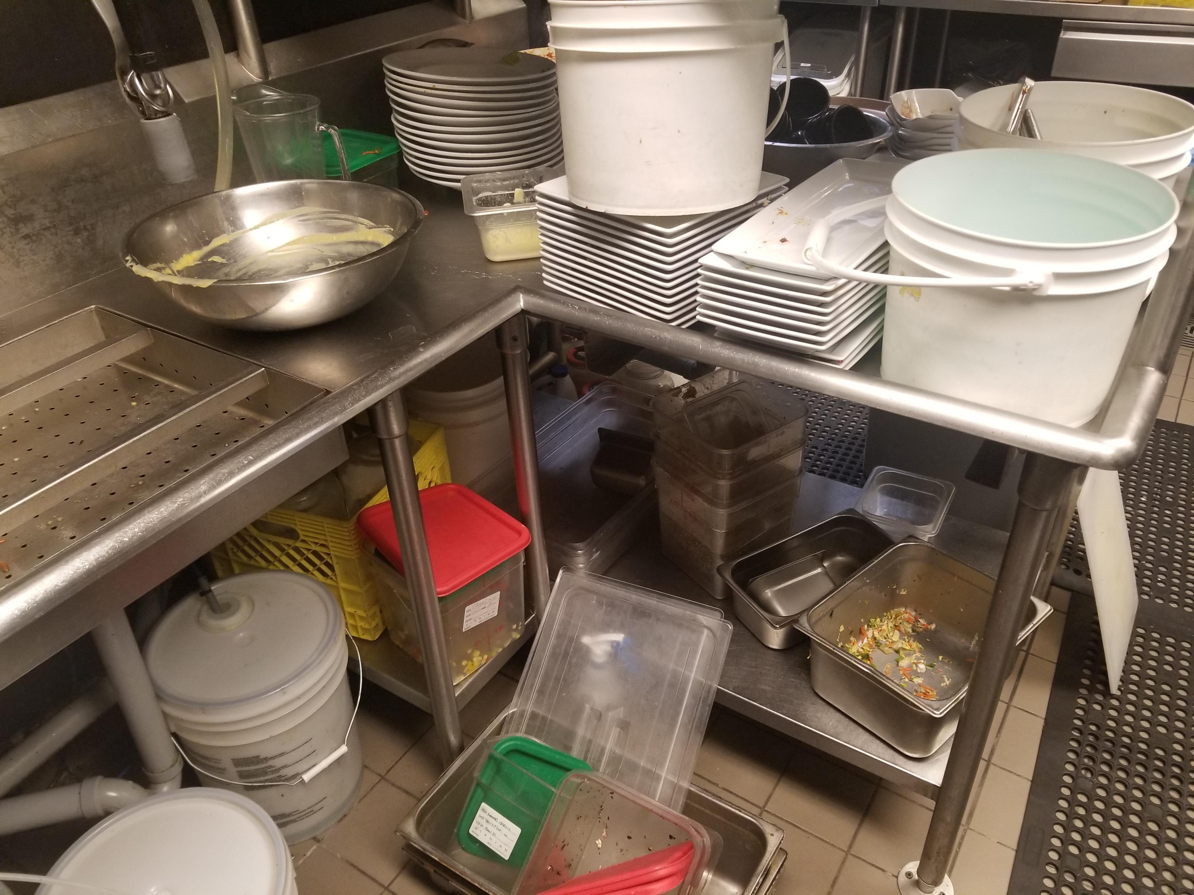 Walking in on bitterly cold Easy Tuesday day for an experienced