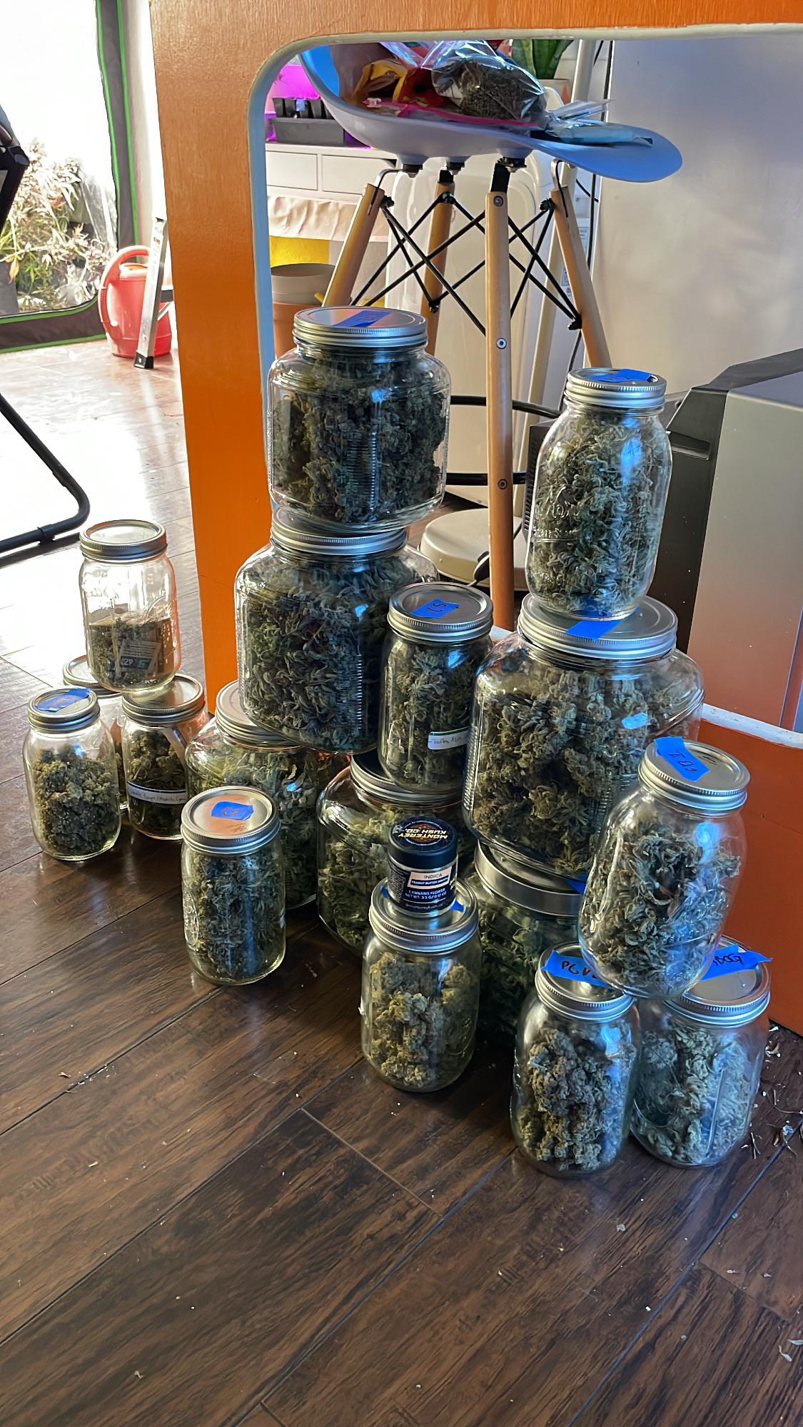 12 best r/eyeballmydrugs images on Pholder Help! Which Strain is more