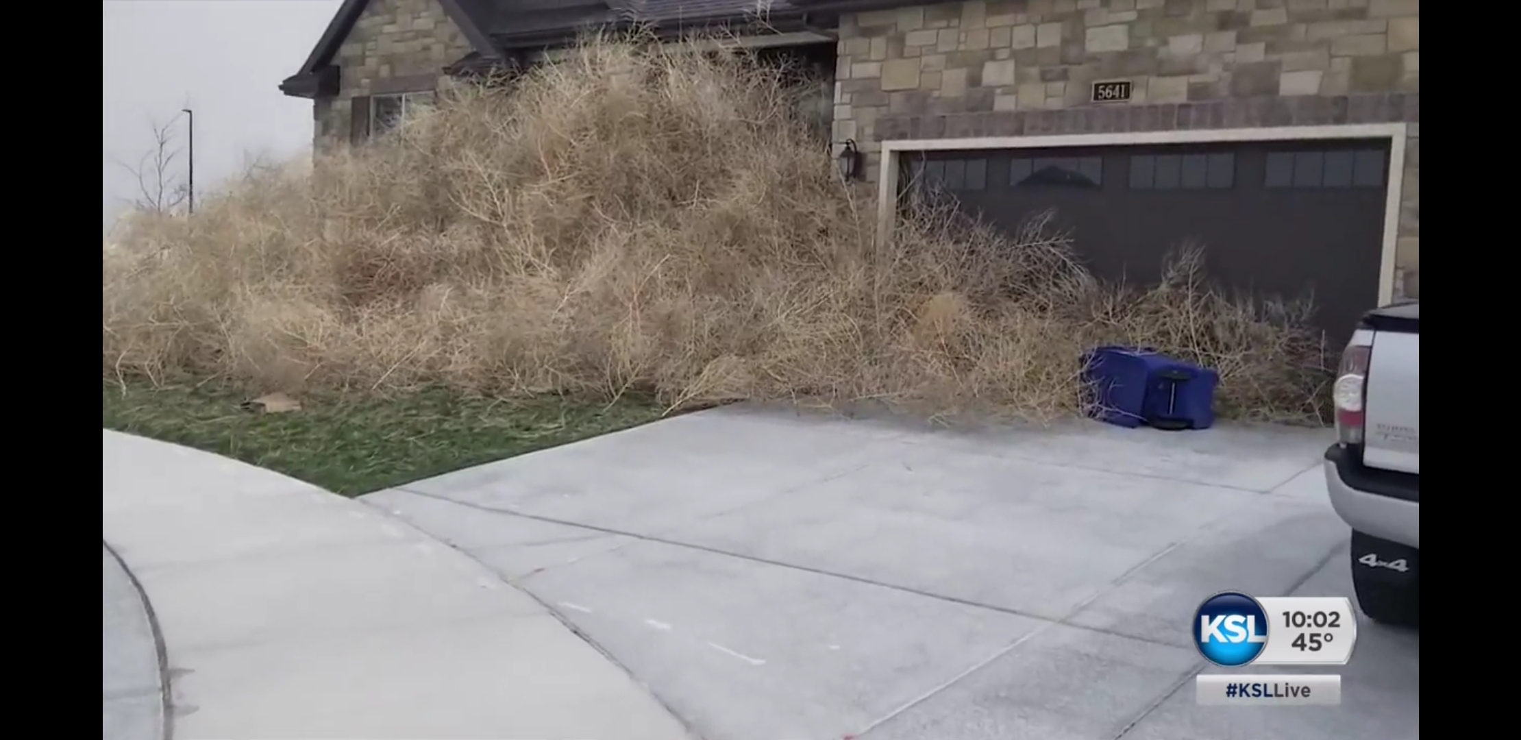 Tumbleweeds in Utah create chaos for homeowner r/mildlyinfuriating