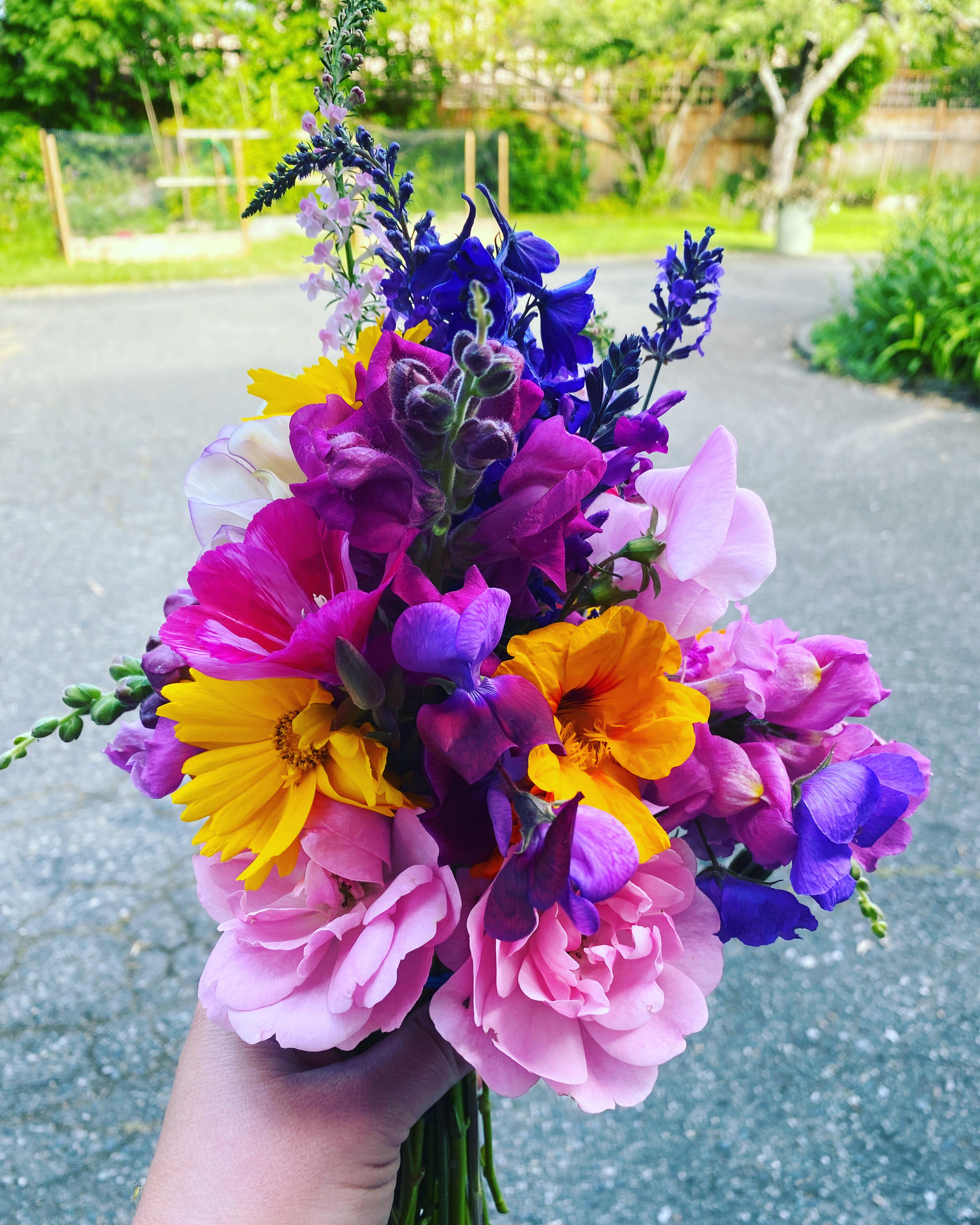 Cue flowers from the garden this morning 🌸 r/gardening