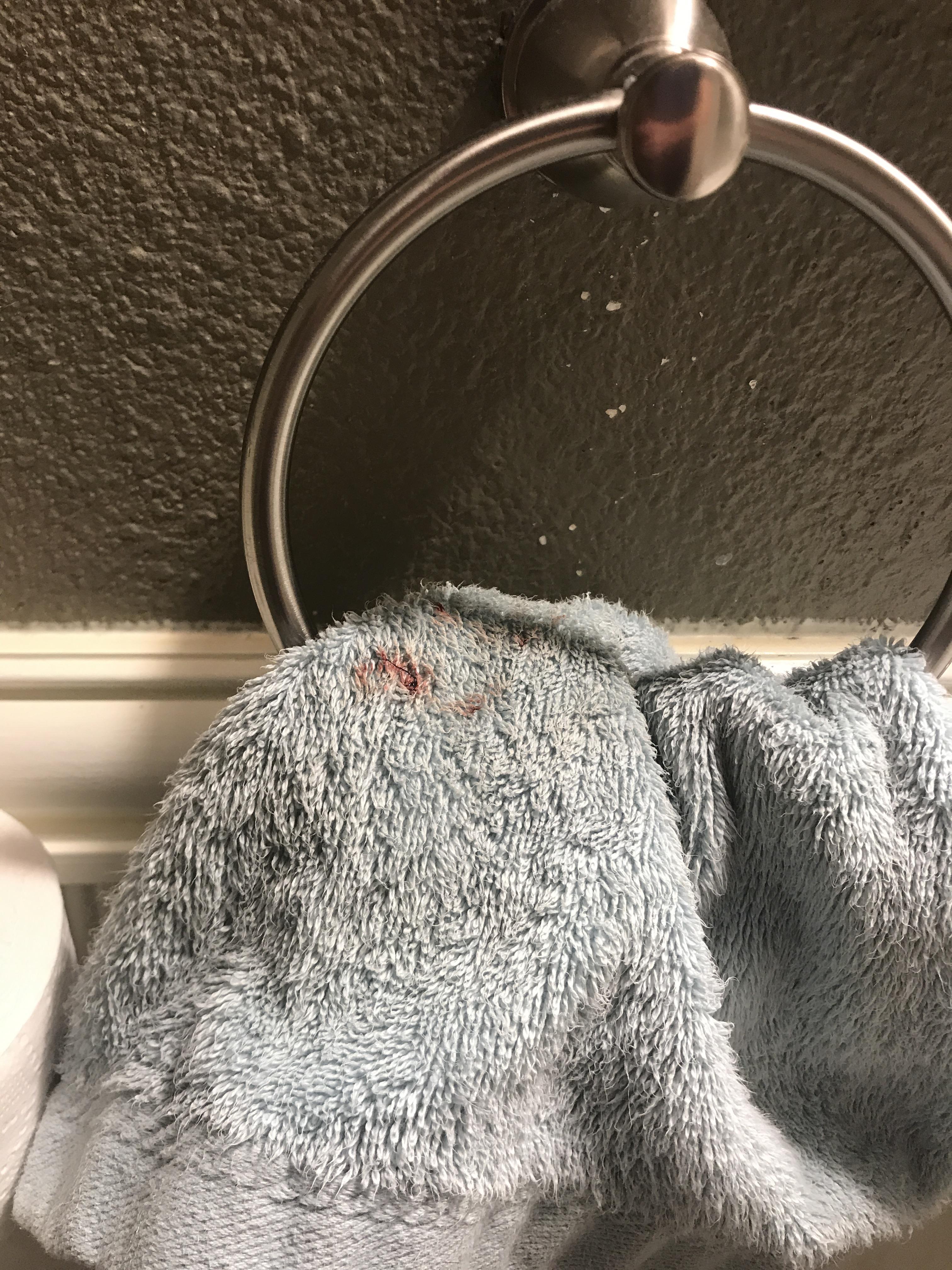 The person who decided to use a towel over toilet paper for their