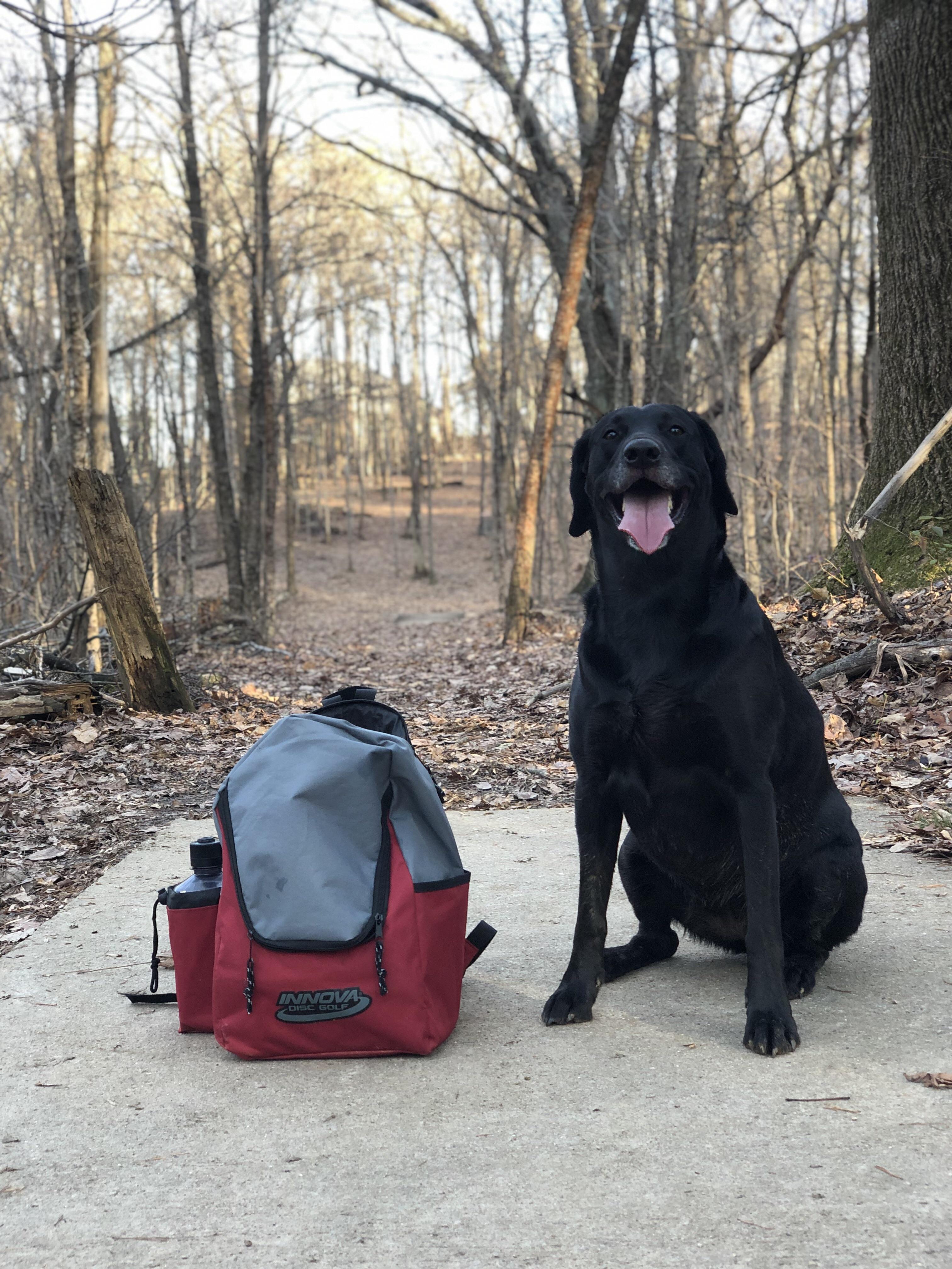 My Perfect Caddy r/discgolf