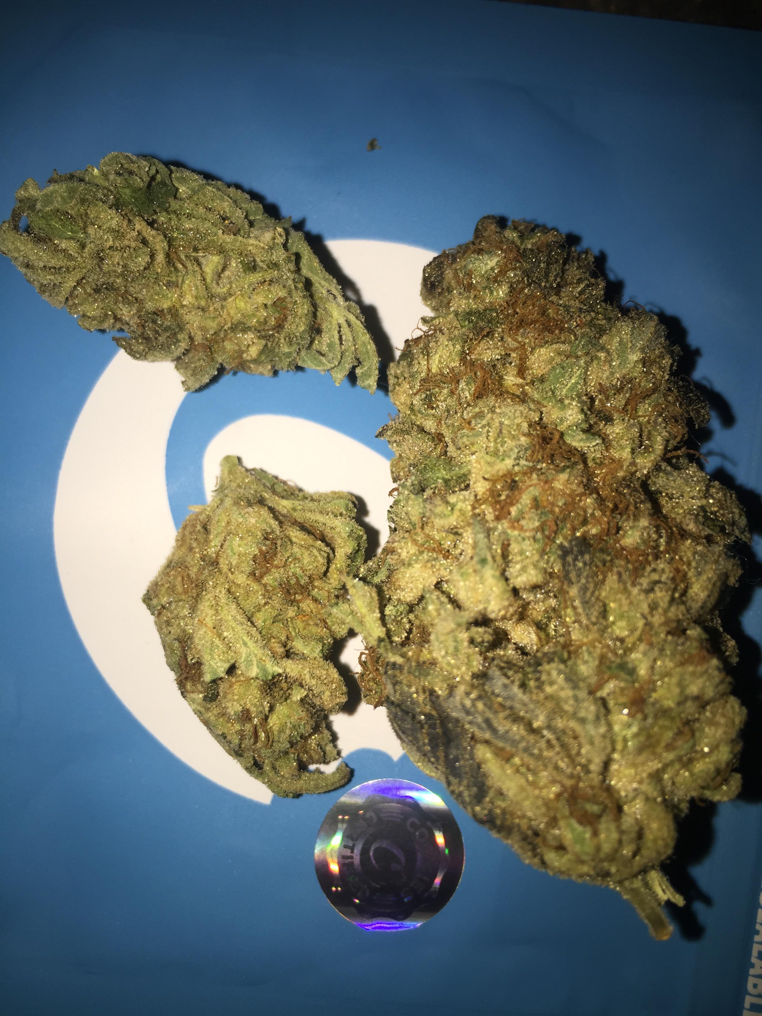 UK grown🔥 Cereal Milk (Cookies x Cherry Pie) r/uktrees