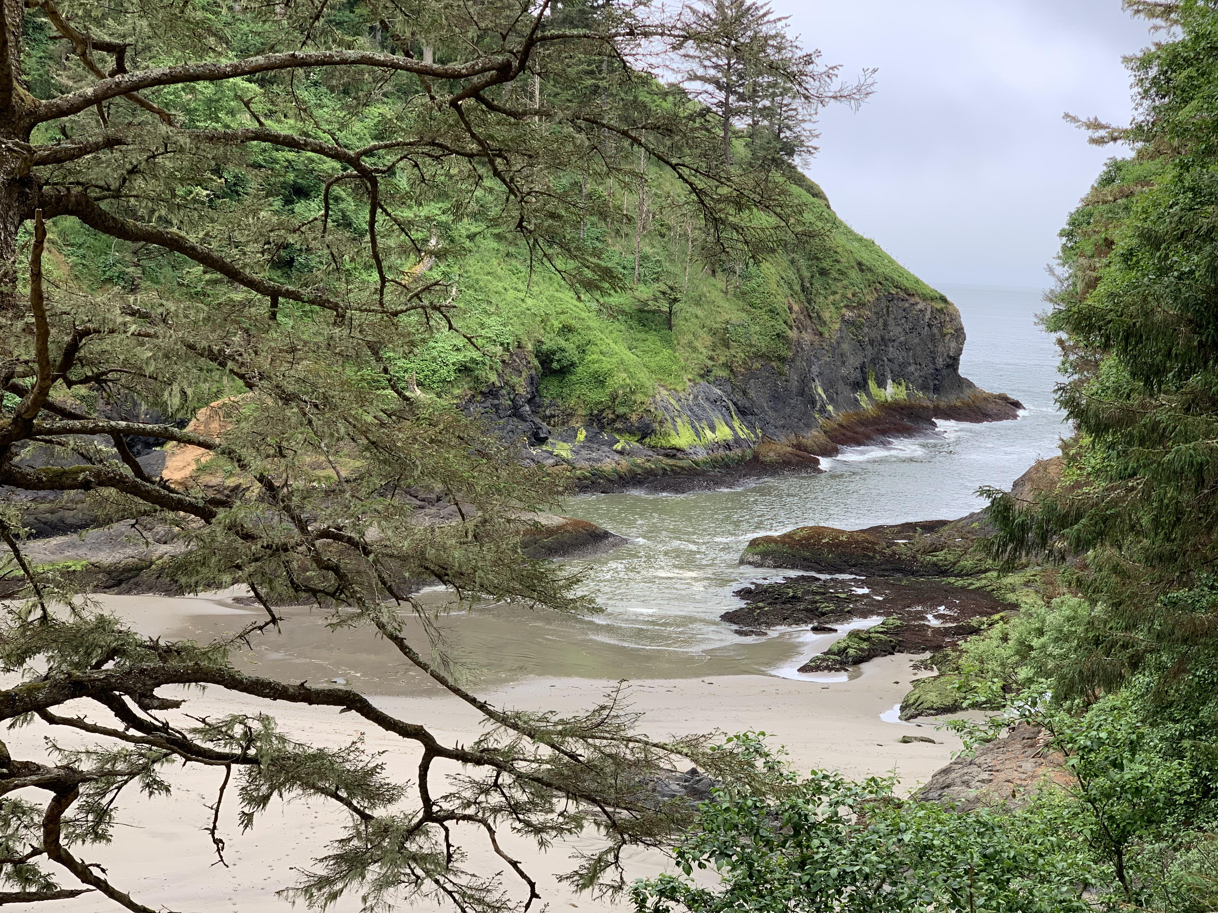 Dead Man’s Cove Ilwaco, WashingtonOCRes 3010x4020 r/EarthPorn