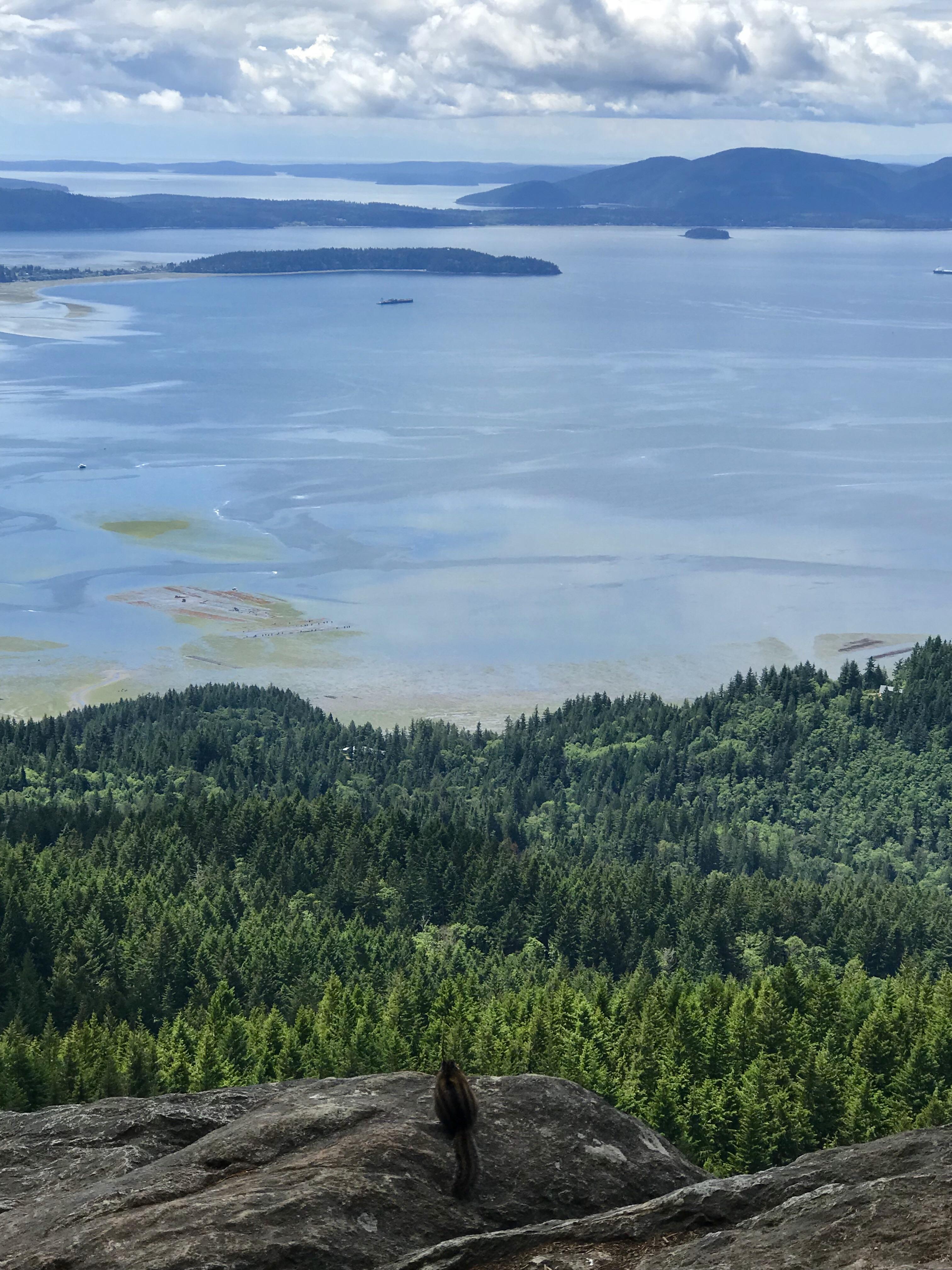 Oyster Dome Bow, Washington r/hiking