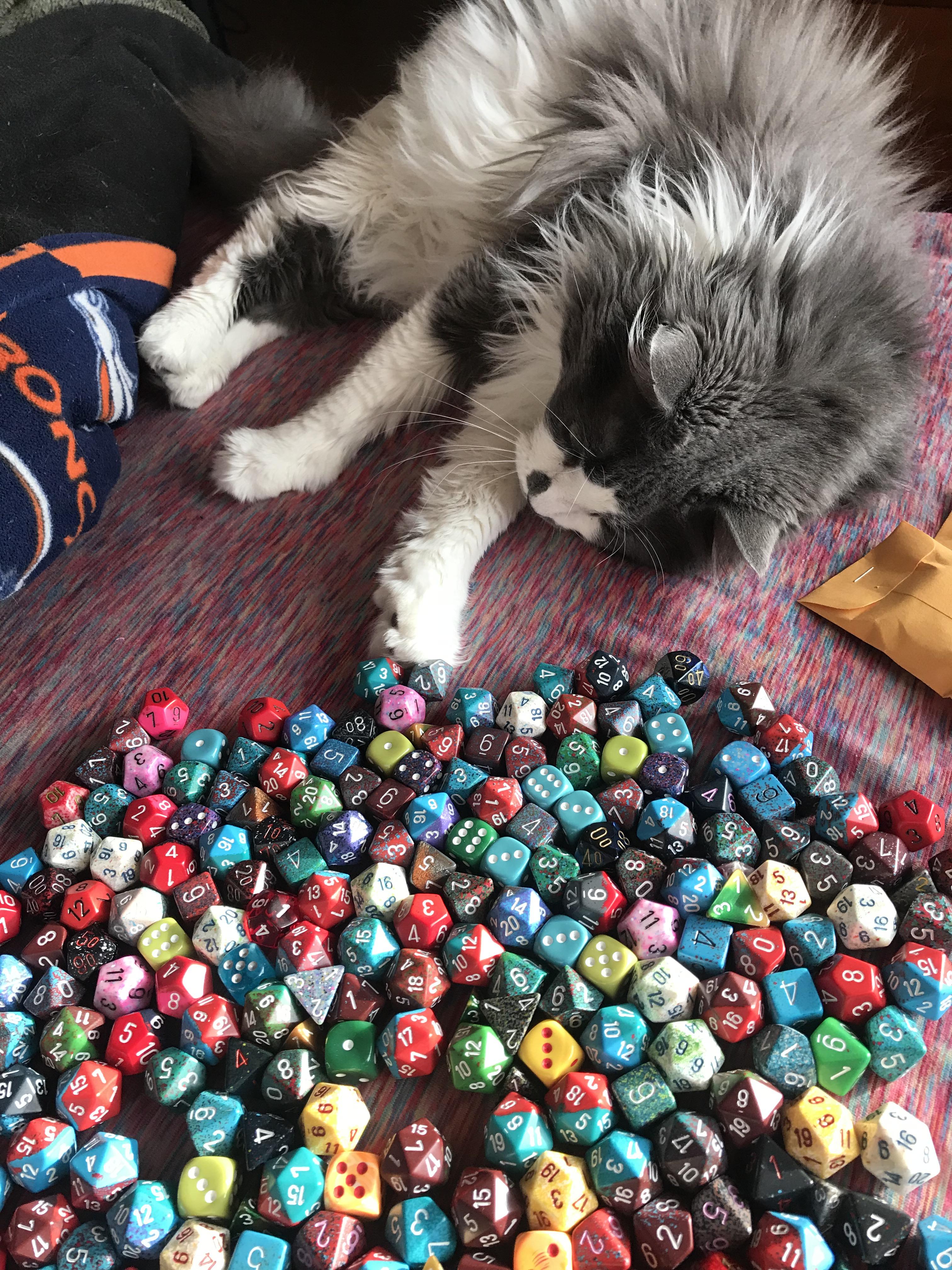 My cat can’t resist the dice pile dice