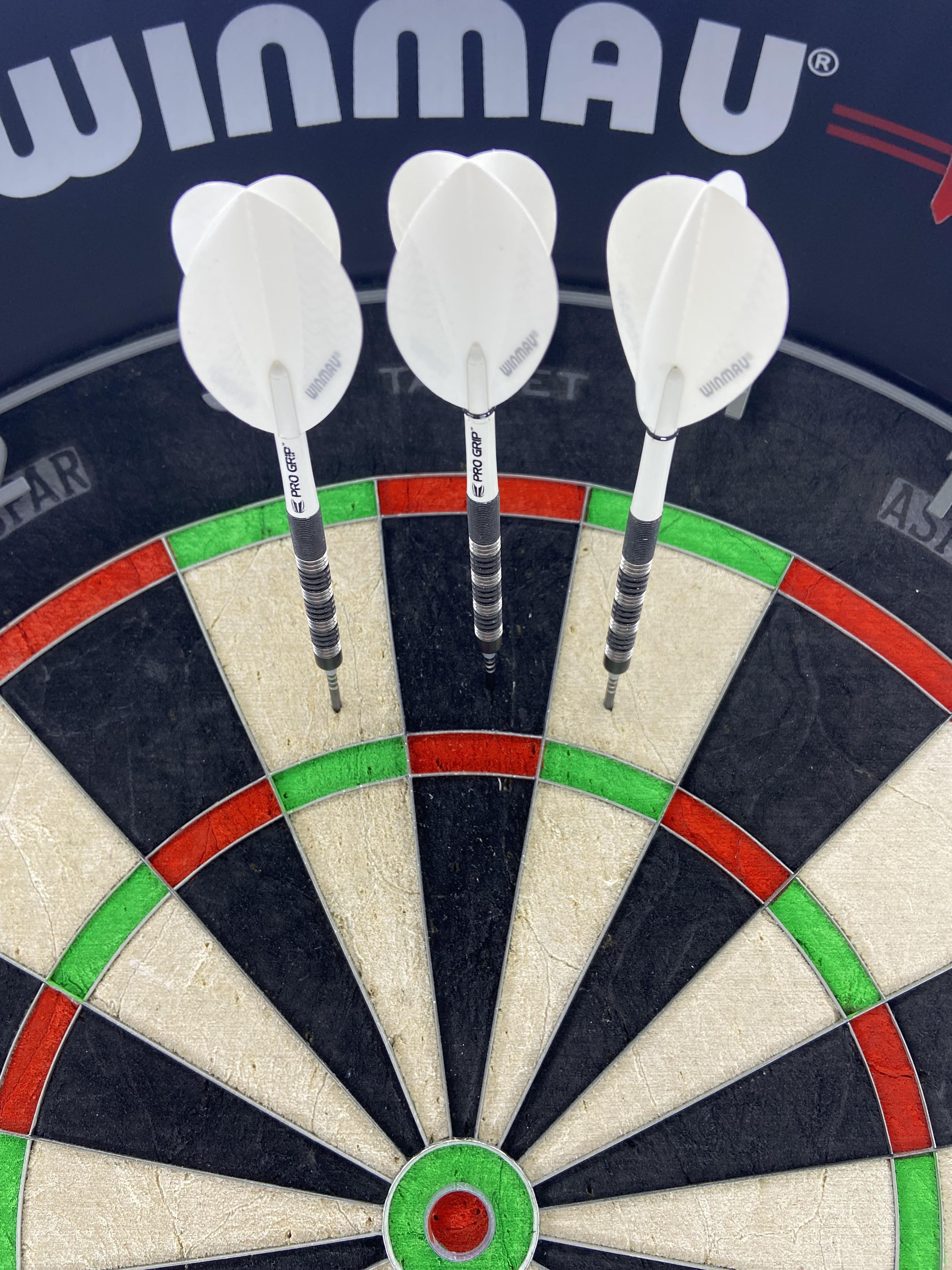 Anyone else use pear flights? r/Darts