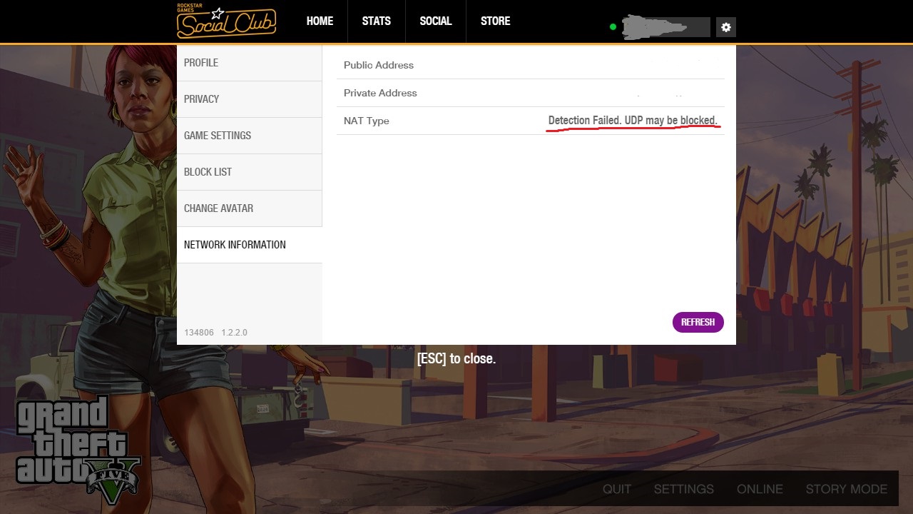 Please help me out i am trying to play GTA v on my pc since yesterday